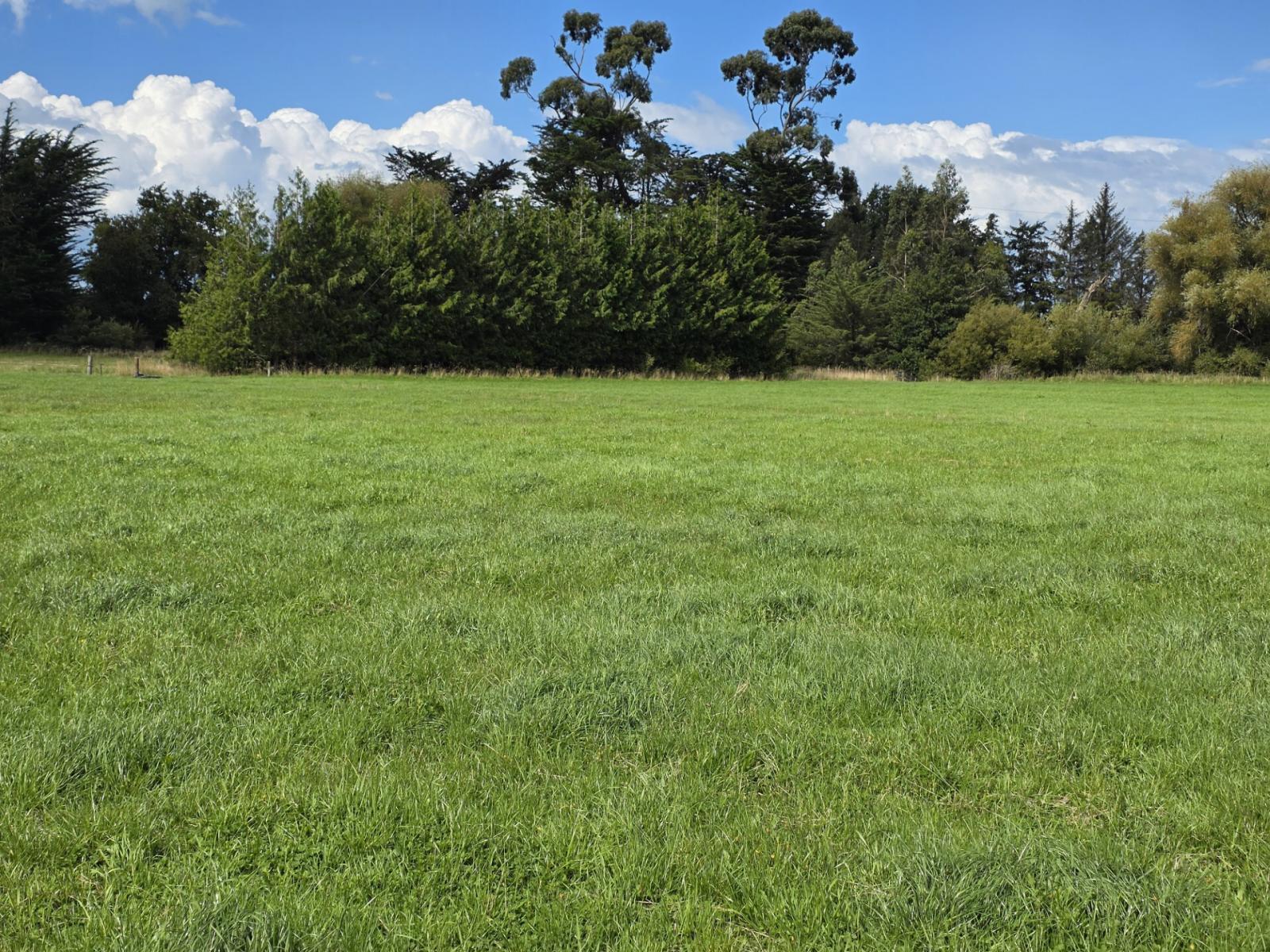 16 Northbrook Road, Rangiora