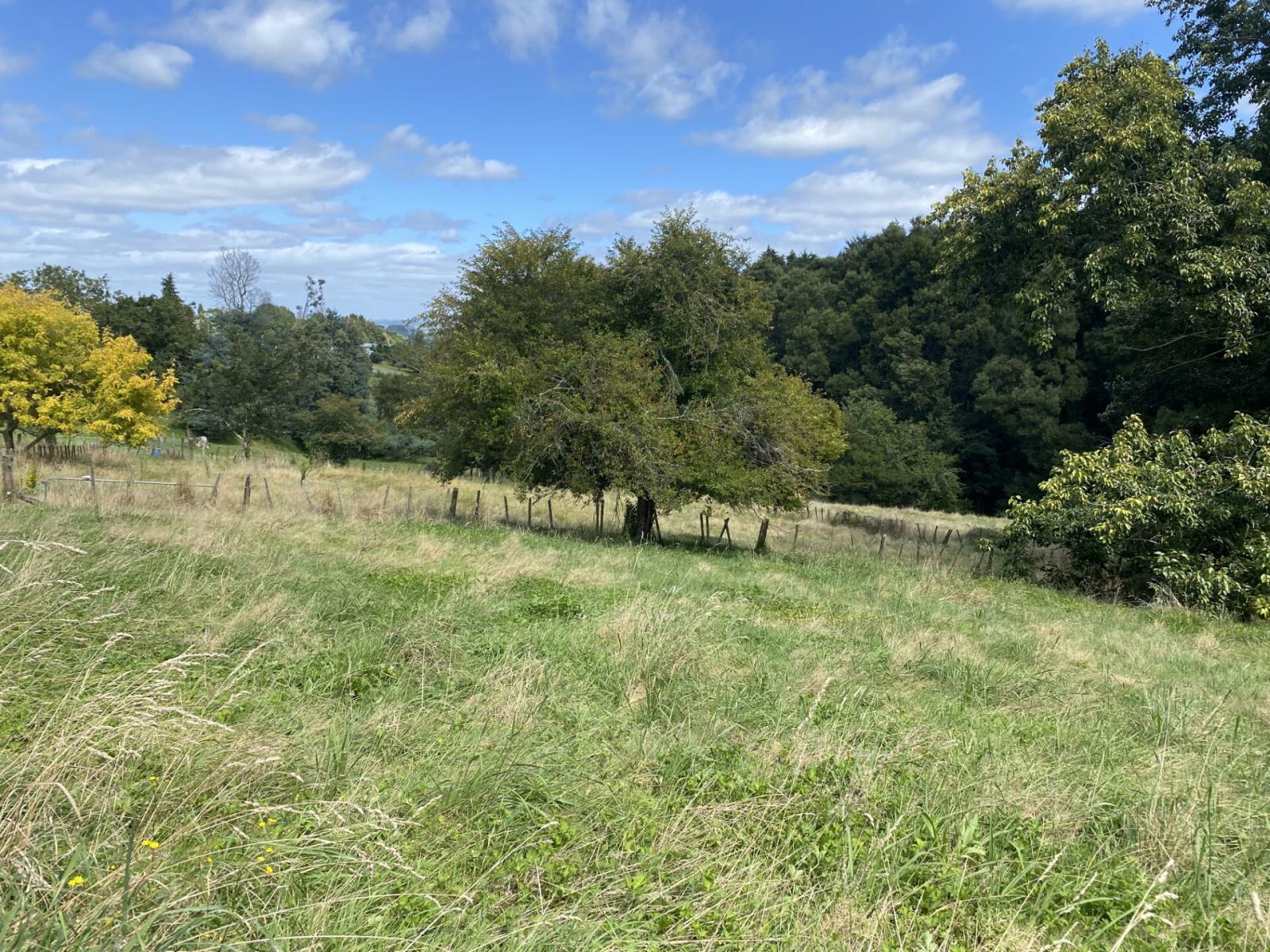 13B Hillcrest Avenue, Otorohanga