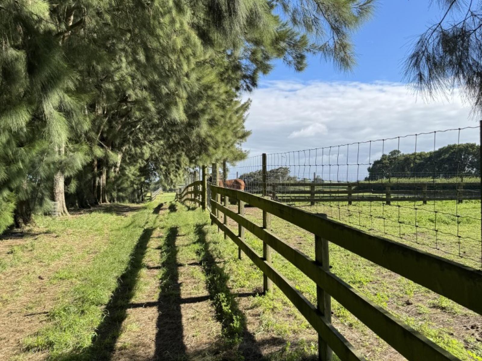 337 Kiwitahi Railway Road, Morrinsville