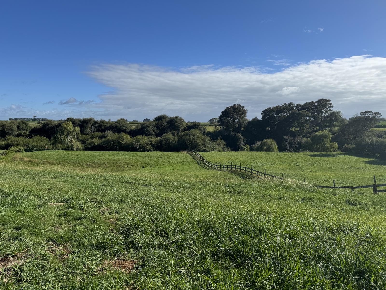 337 Kiwitahi Railway Road, Morrinsville