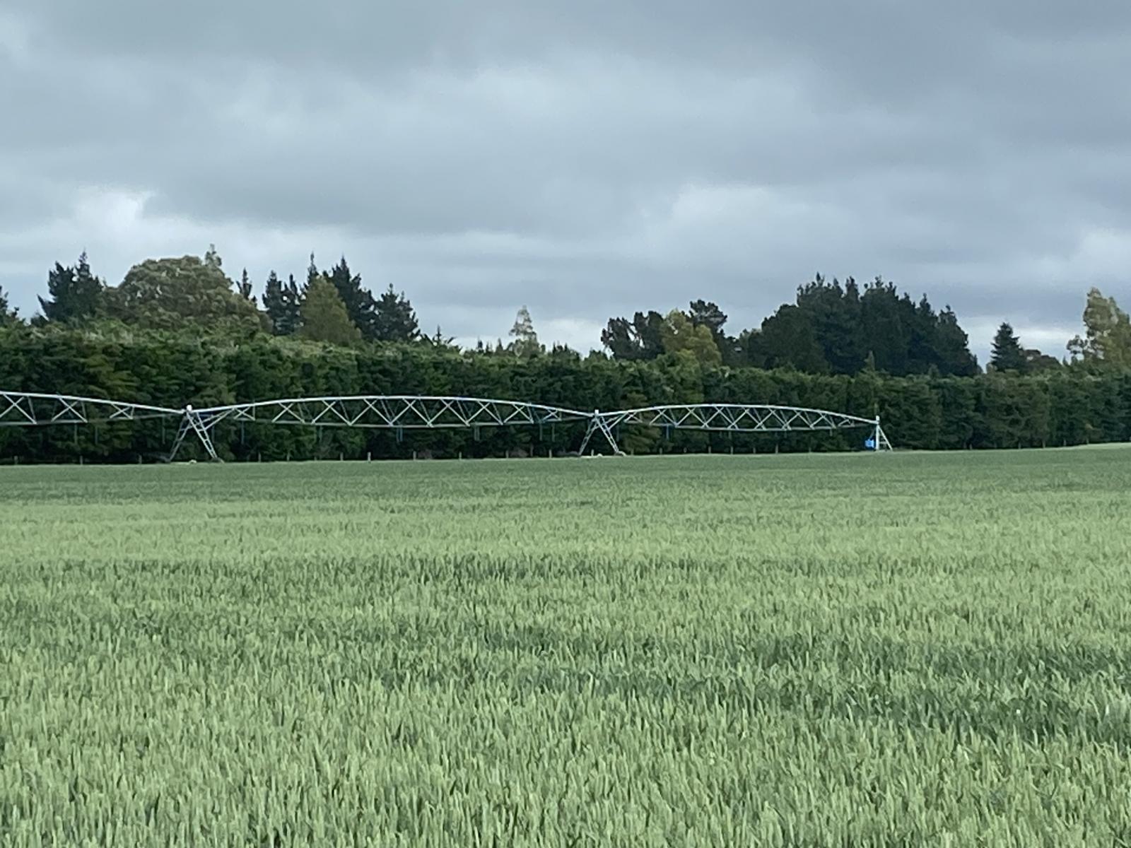 2166 Arundel Rakaia Gorge Road, Mayfield