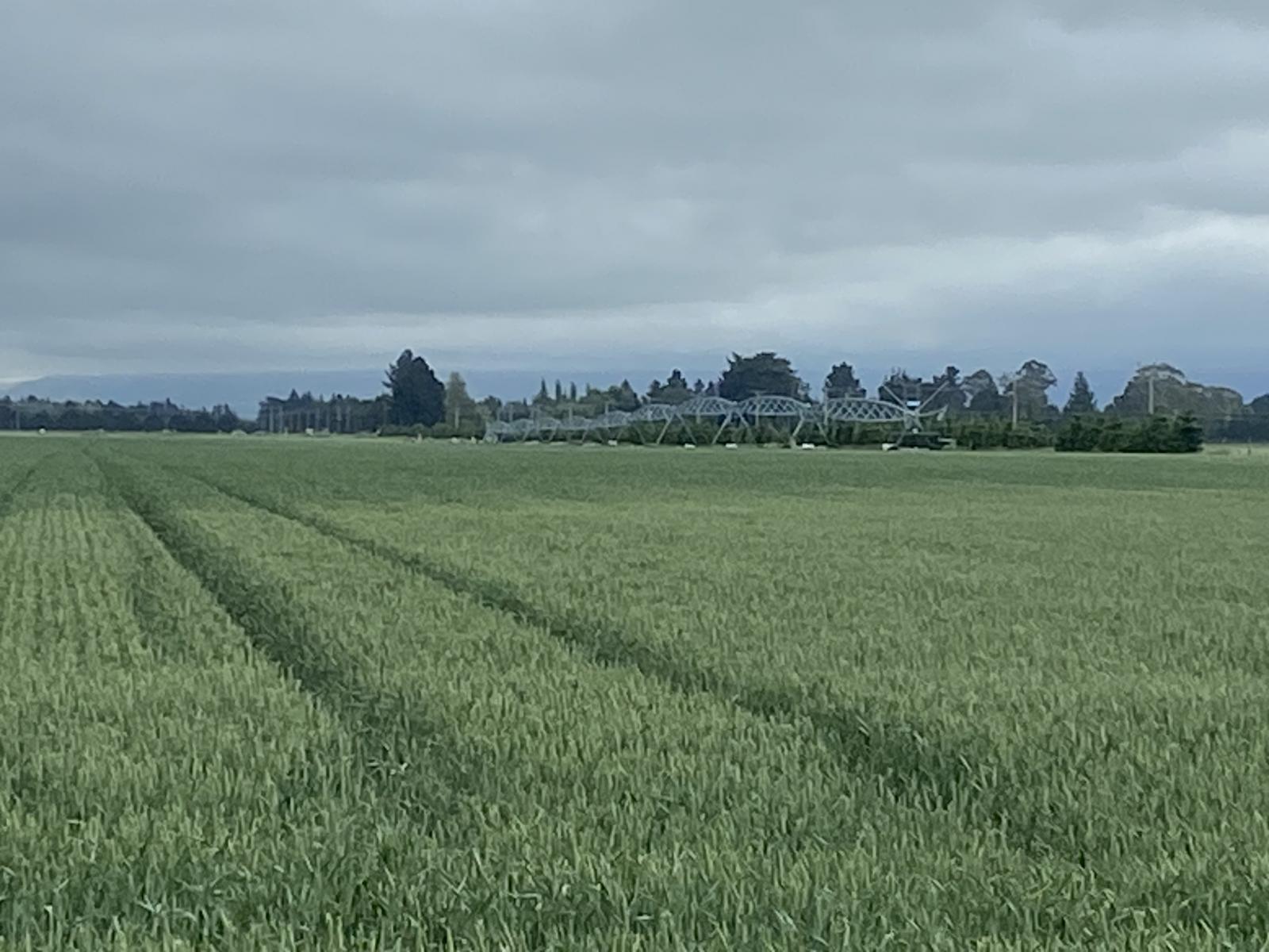 2166 Arundel Rakaia Gorge Road, Mayfield