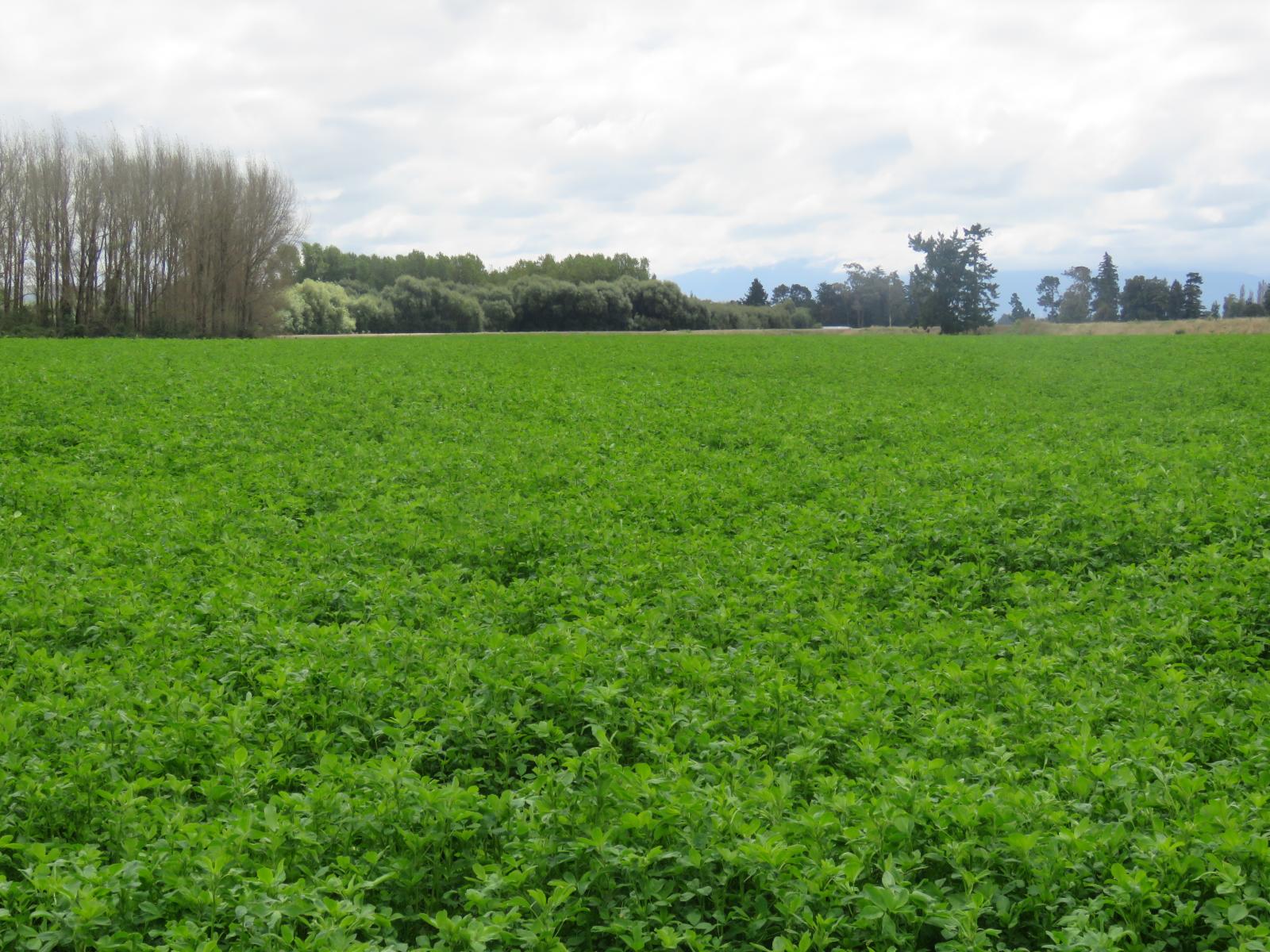 2166 Arundel Rakaia Gorge Road, Mayfield