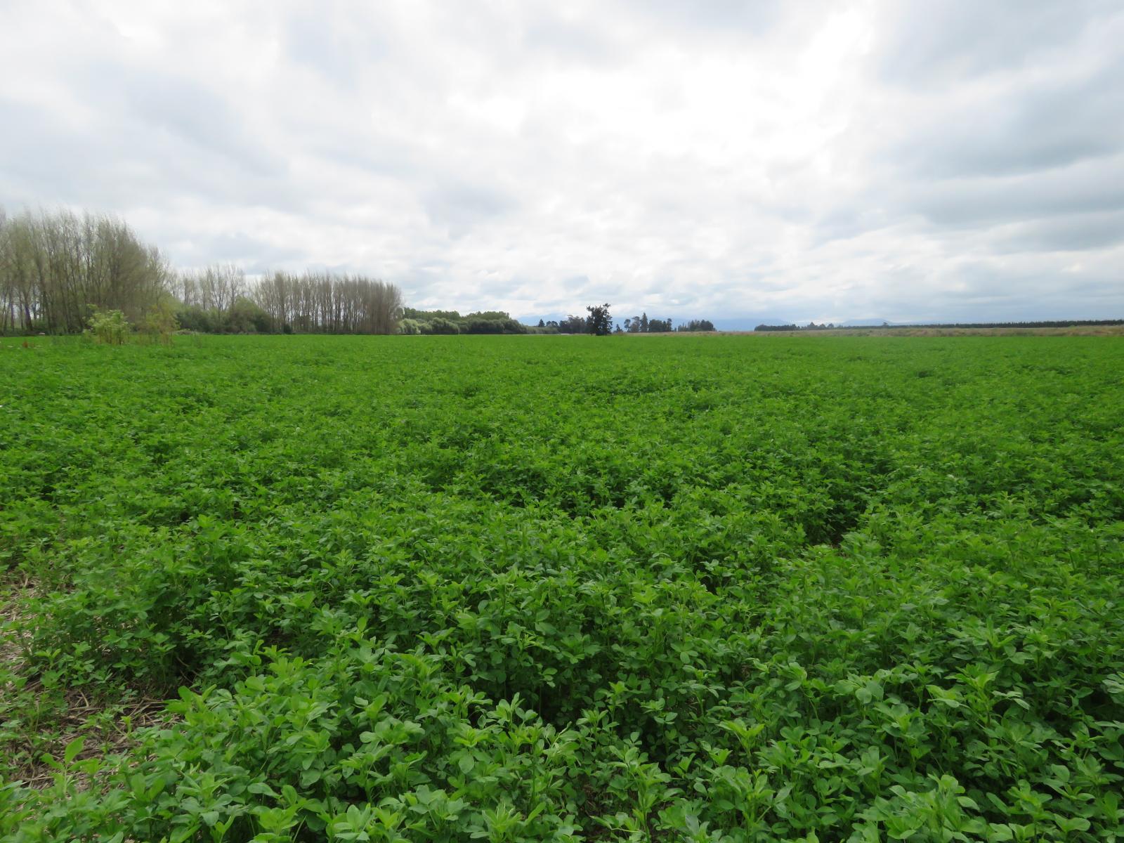 2166 Arundel Rakaia Gorge Road, Mayfield