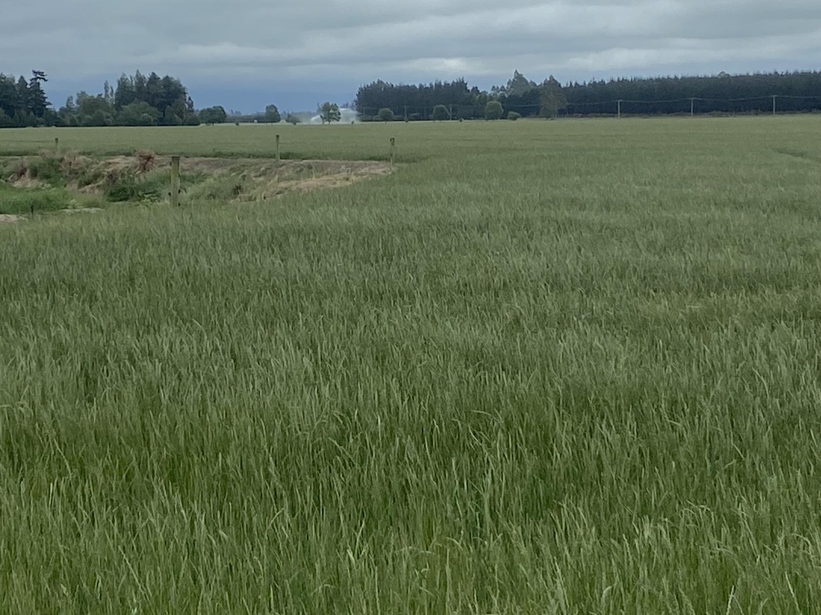 2166 Arundel Rakaia Gorge Road, Mayfield