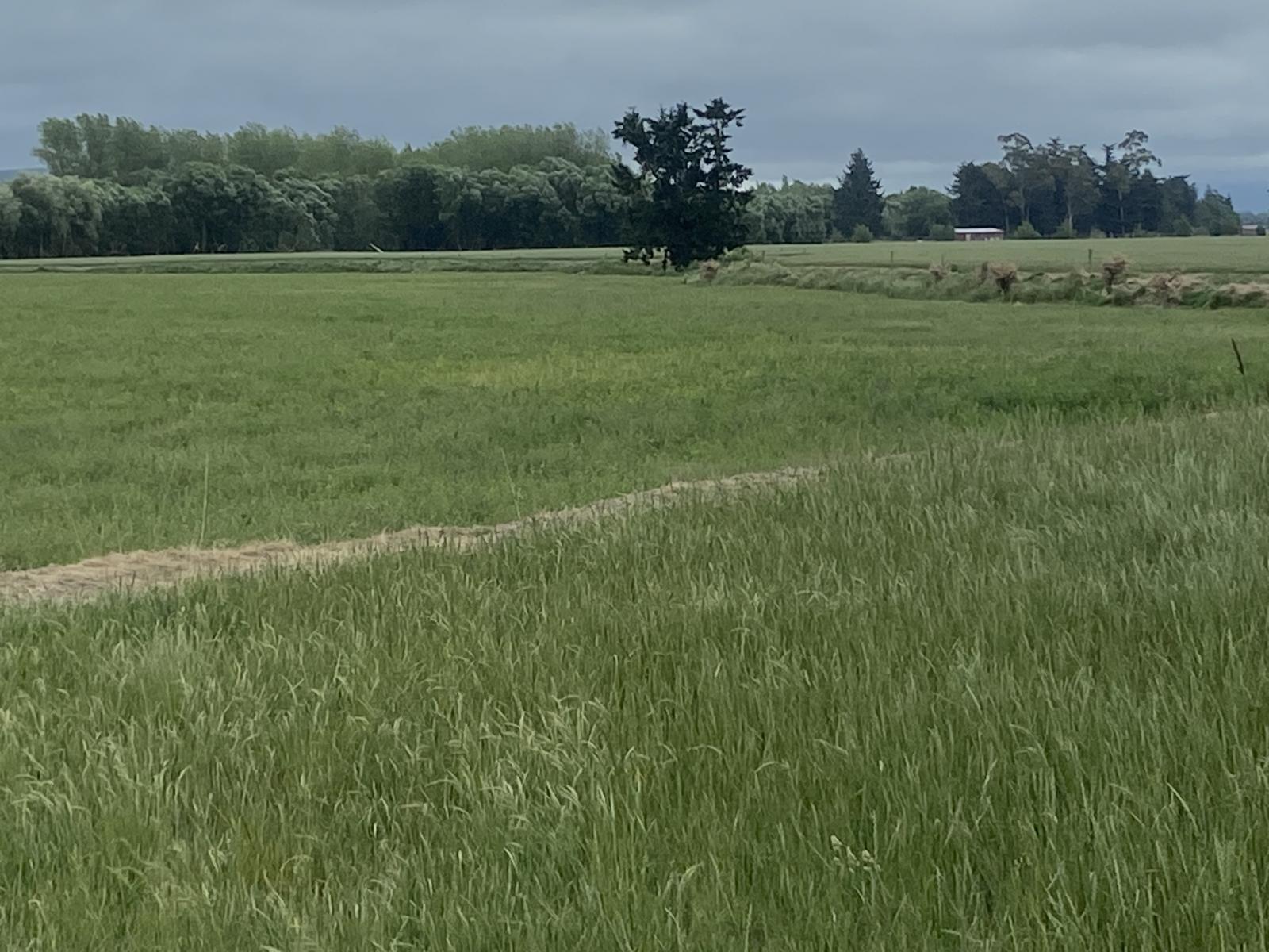 2166 Arundel Rakaia Gorge Road, Mayfield