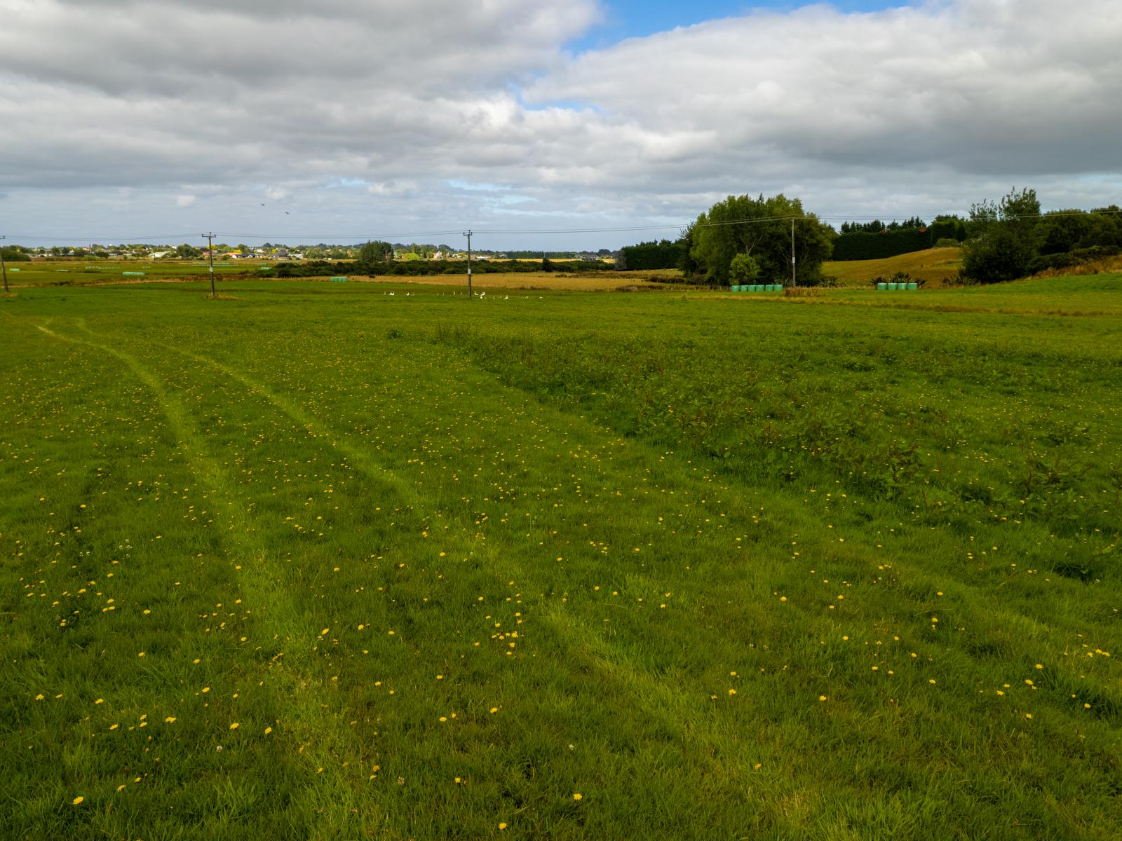 435A Bainfield Road, Waihopai