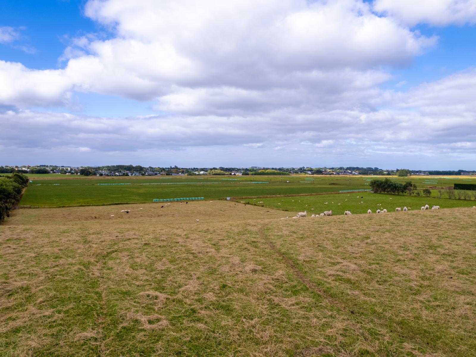 435E Bainfield Road, Waihopai