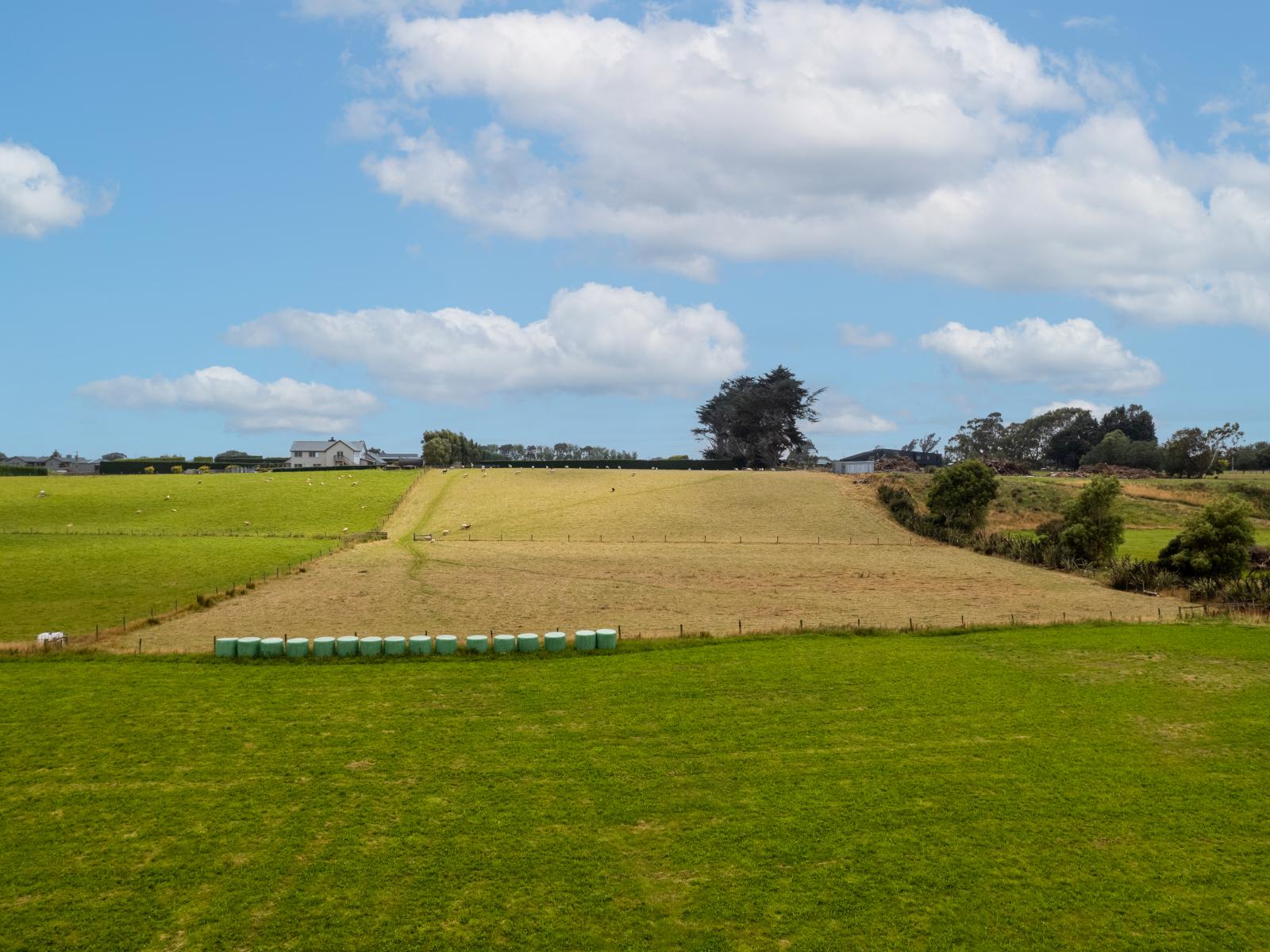 435E Bainfield Road, Waihopai