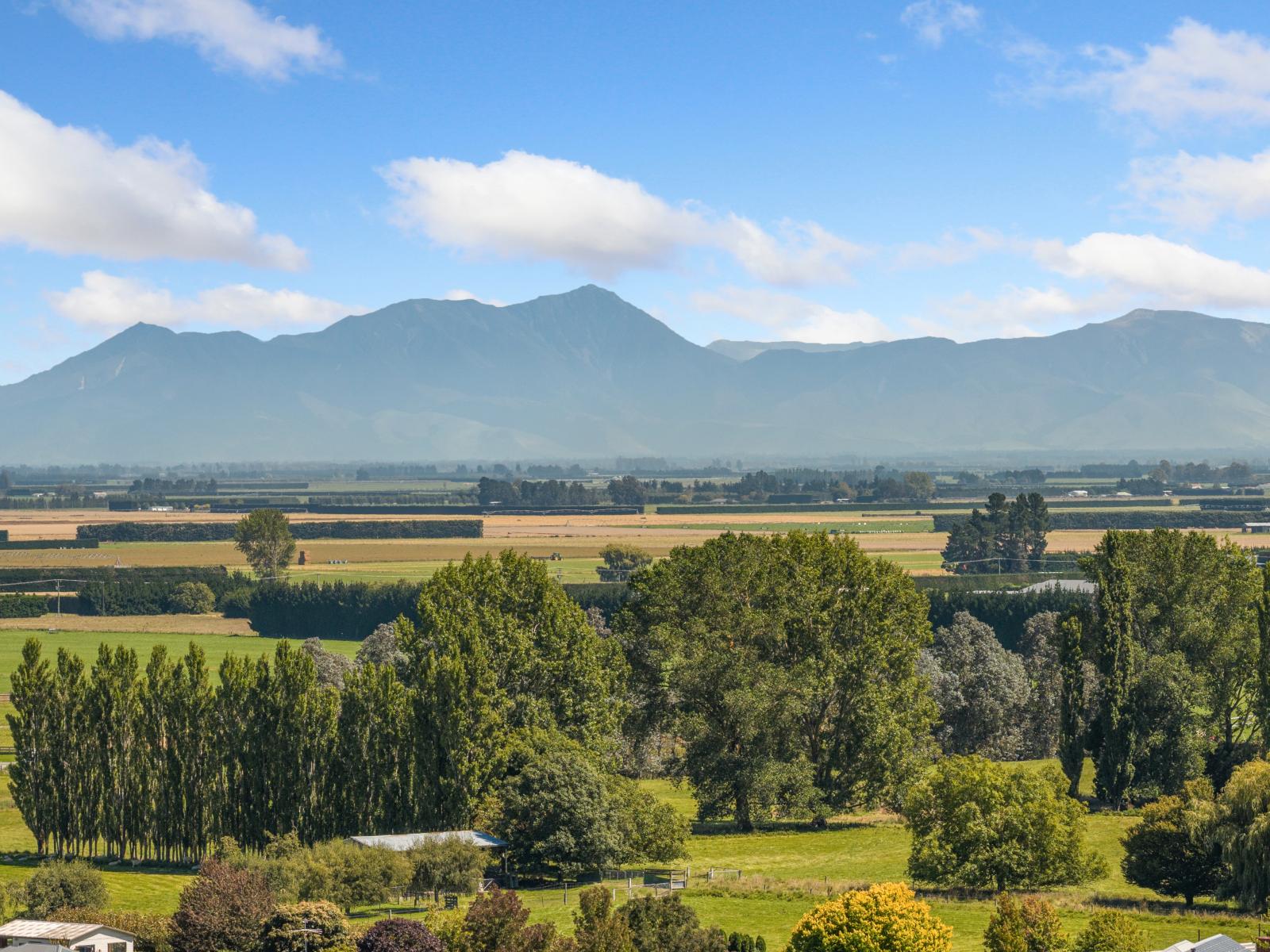 Carlisle Estate, Tinwald