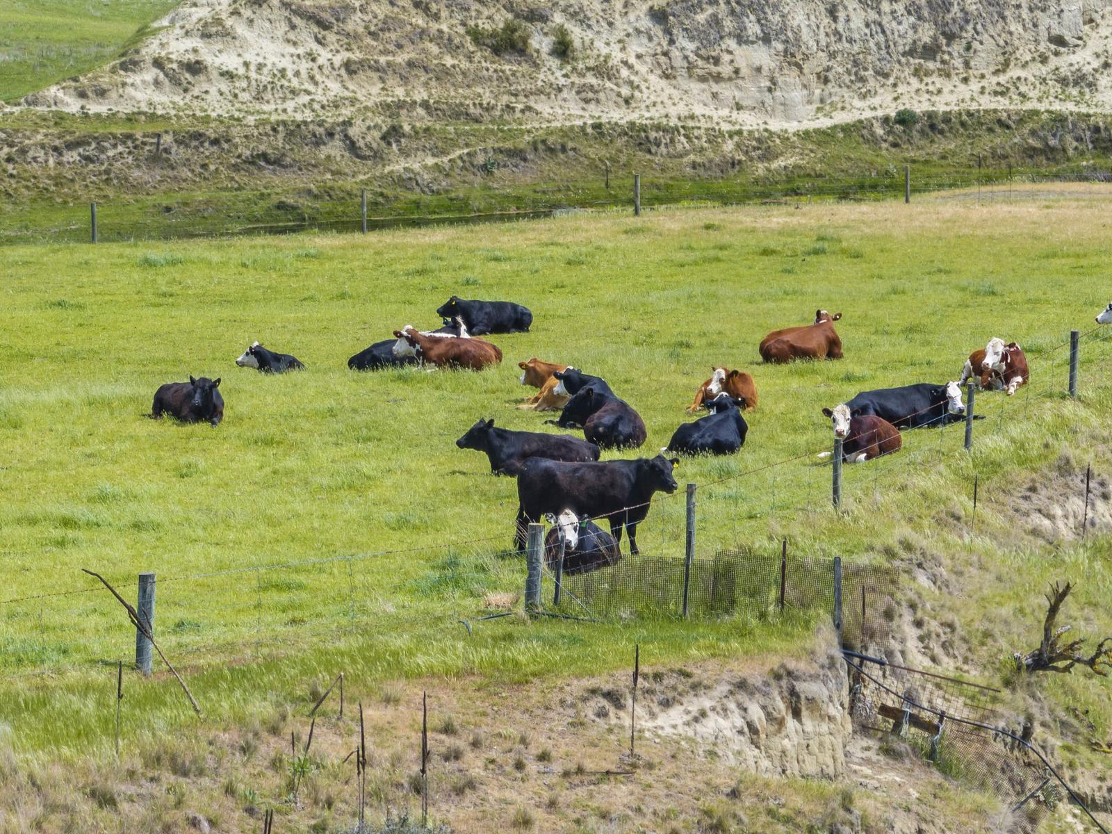 334 Omihi Road, Waipara