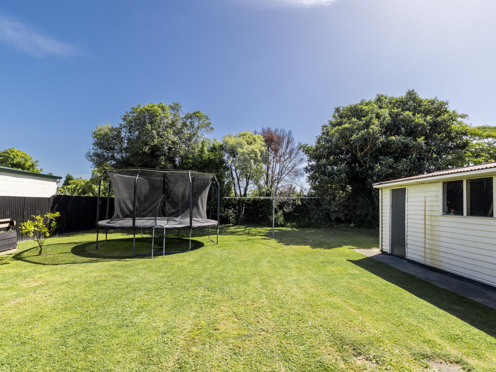 38 Downing Avenue, Pirimai