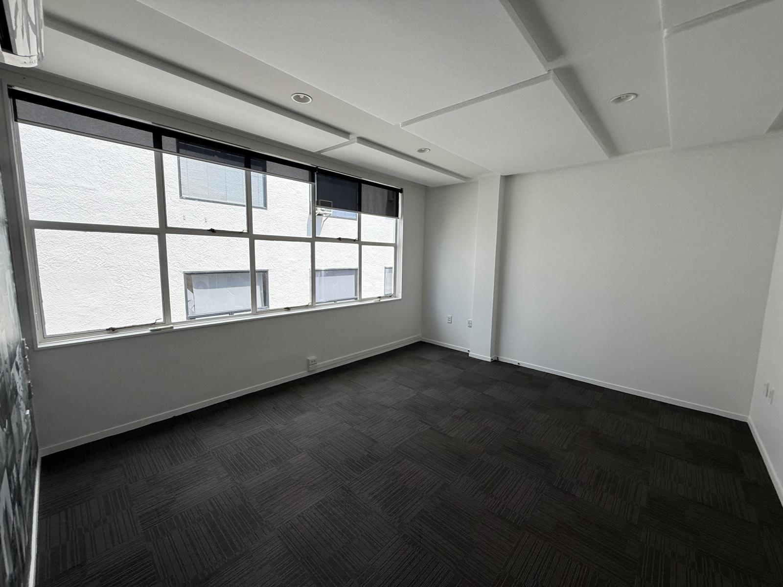 117 Willow Street, Tauranga