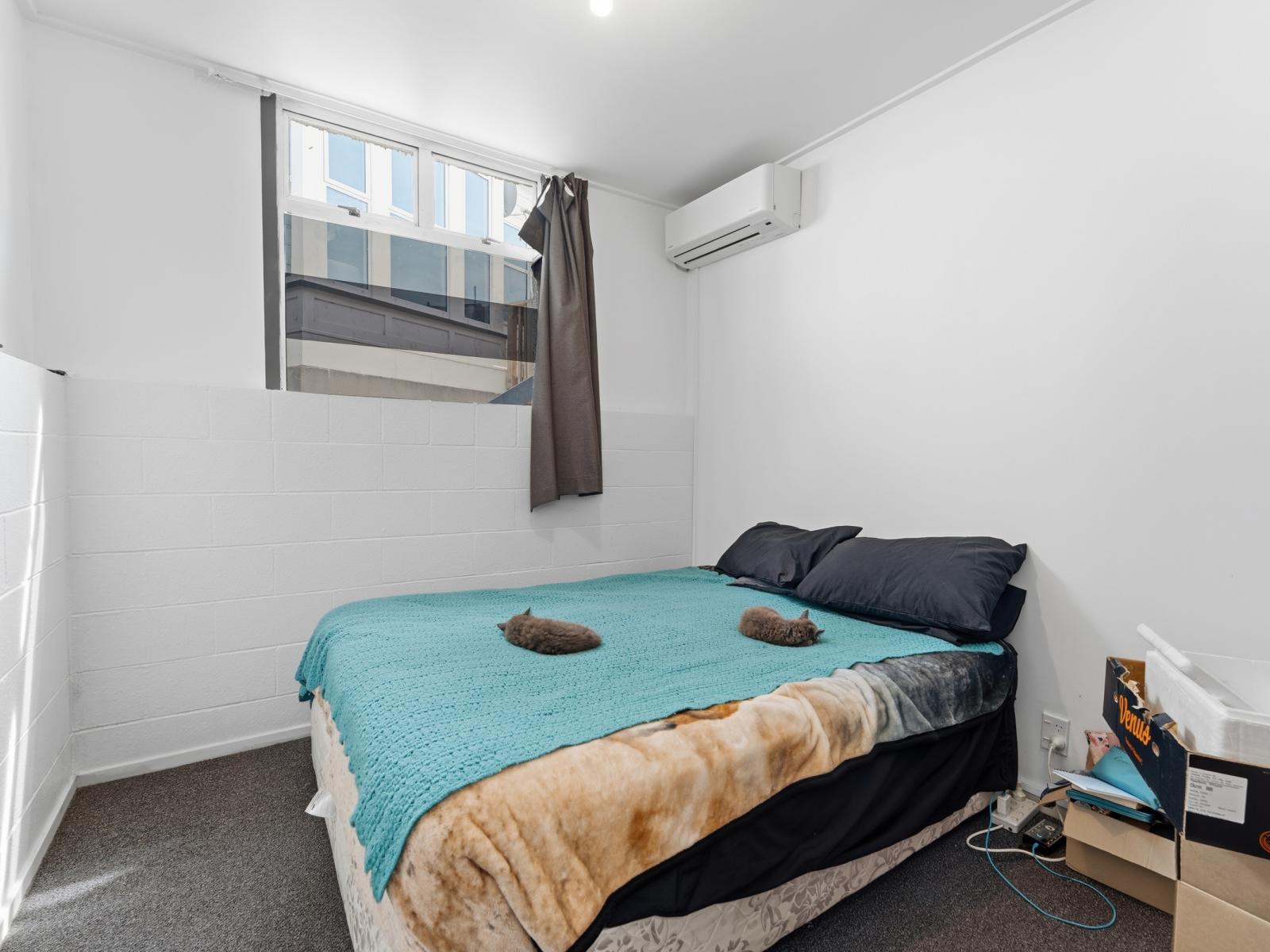 151B Cargill Street, Dunedin Central