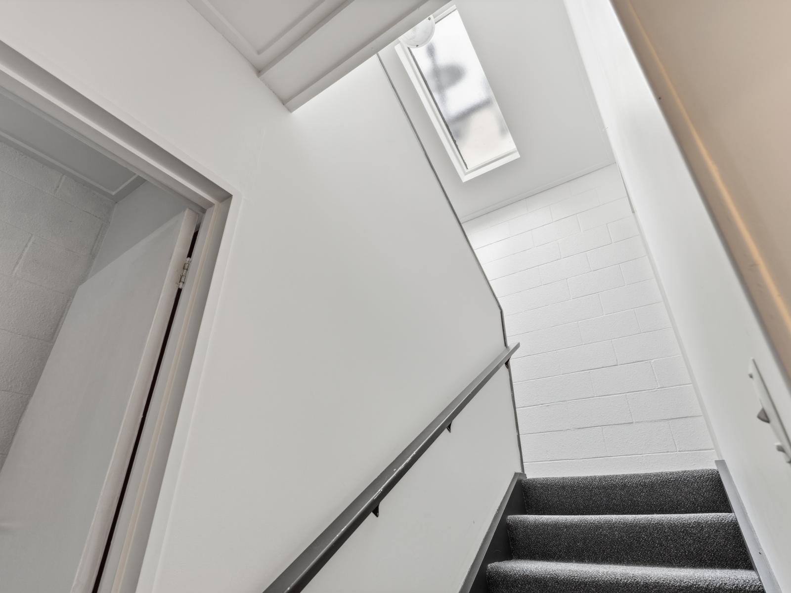 151B Cargill Street, Dunedin Central