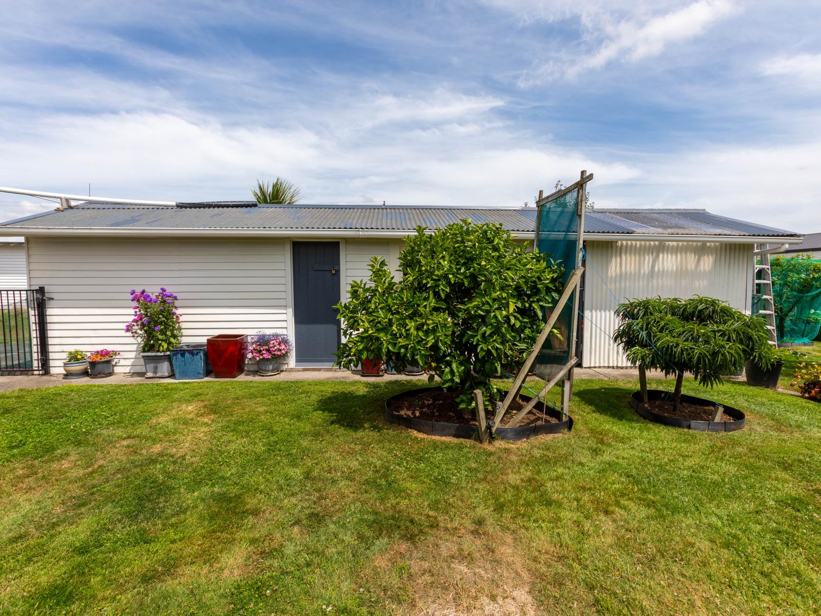 37 Fox Street, Woodville