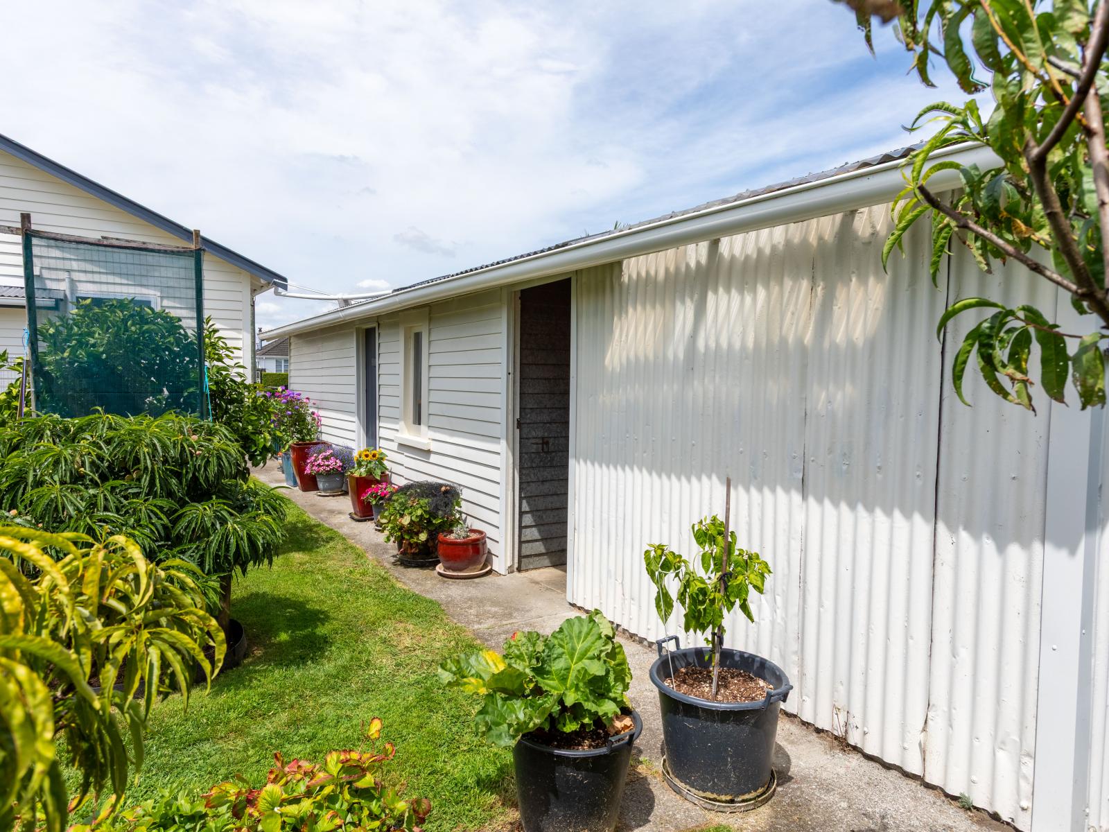 37 Fox Street, Woodville