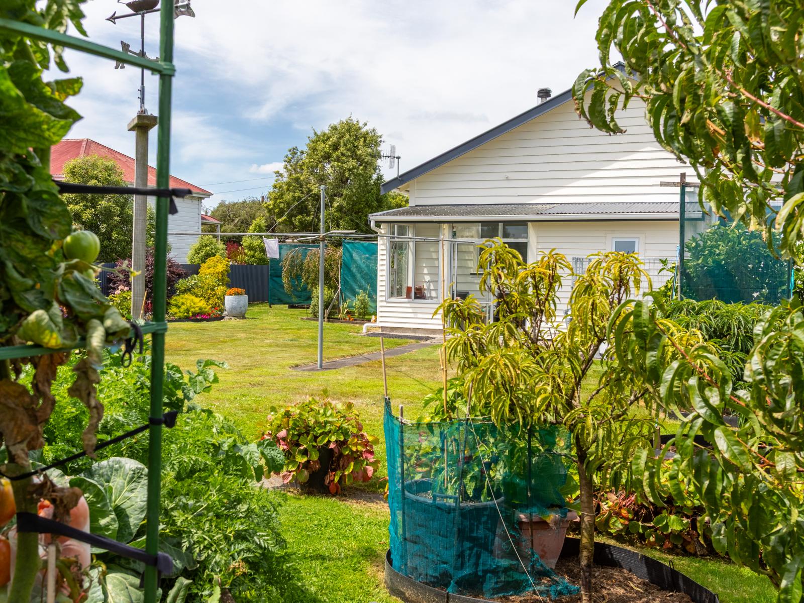 37 Fox Street, Woodville