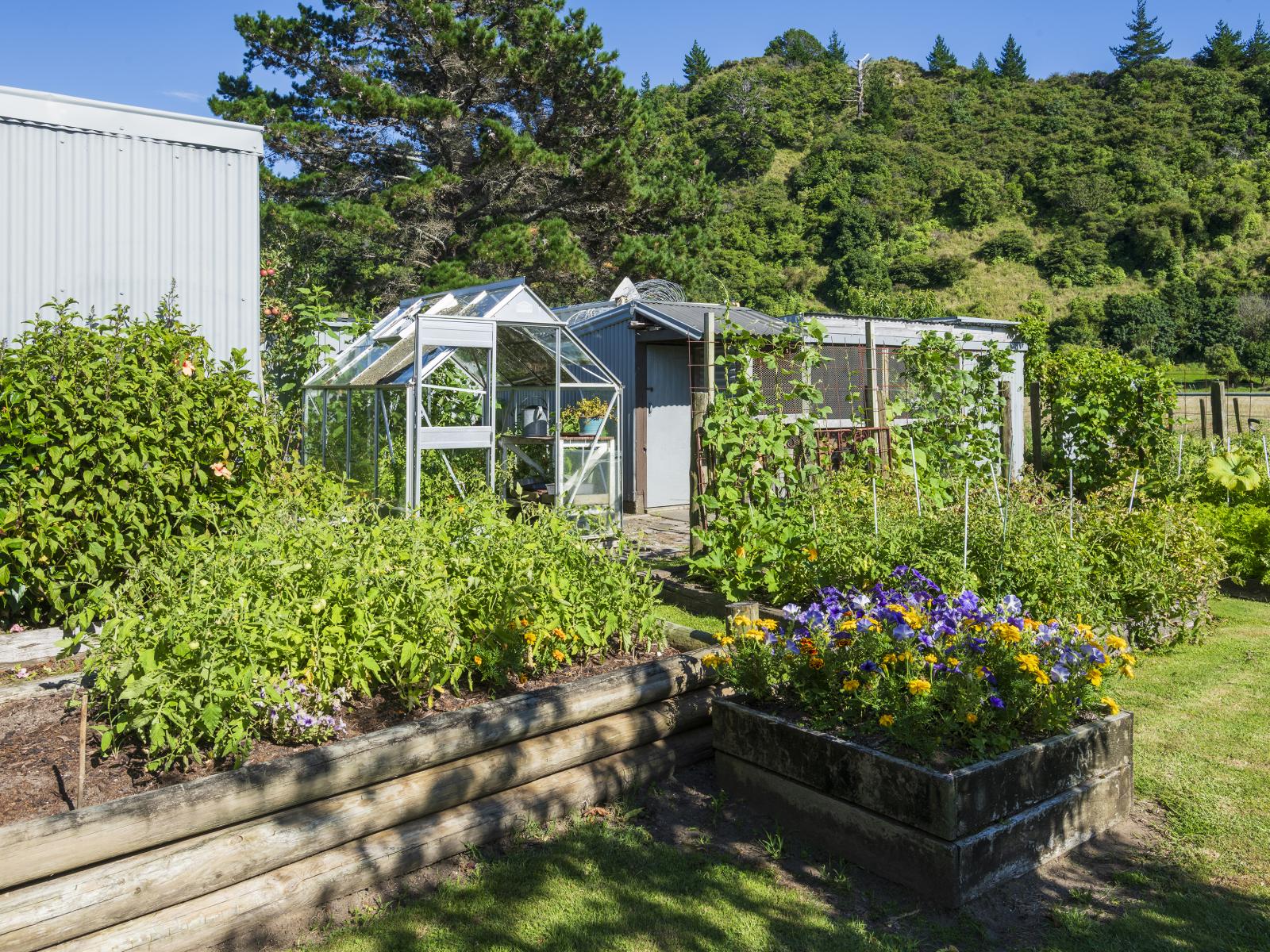 1 Forster Street, Tolaga Bay