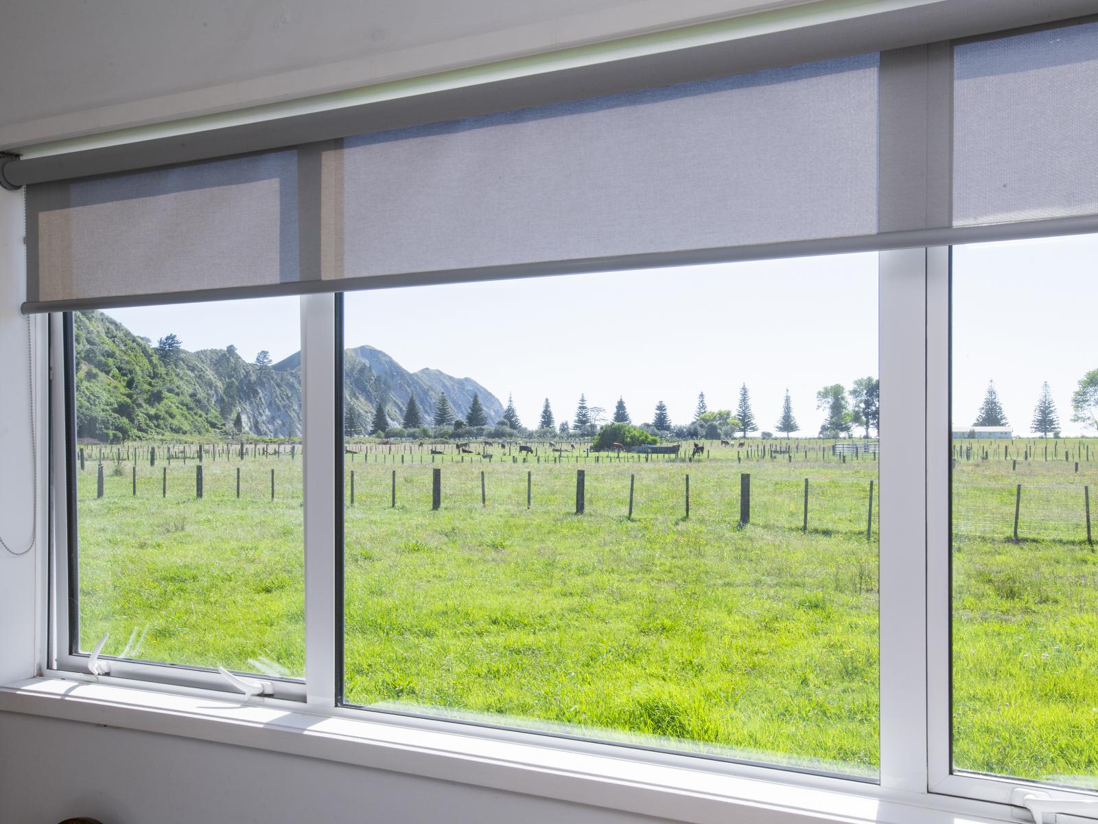 1 Forster Street, Tolaga Bay