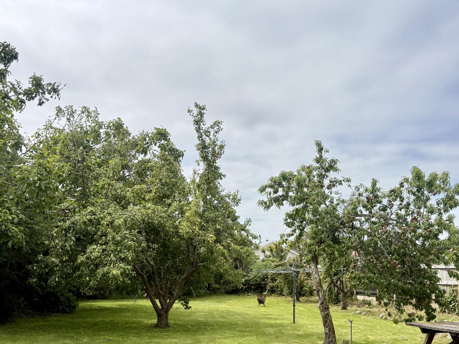 3 Scott Terrace, Temuka