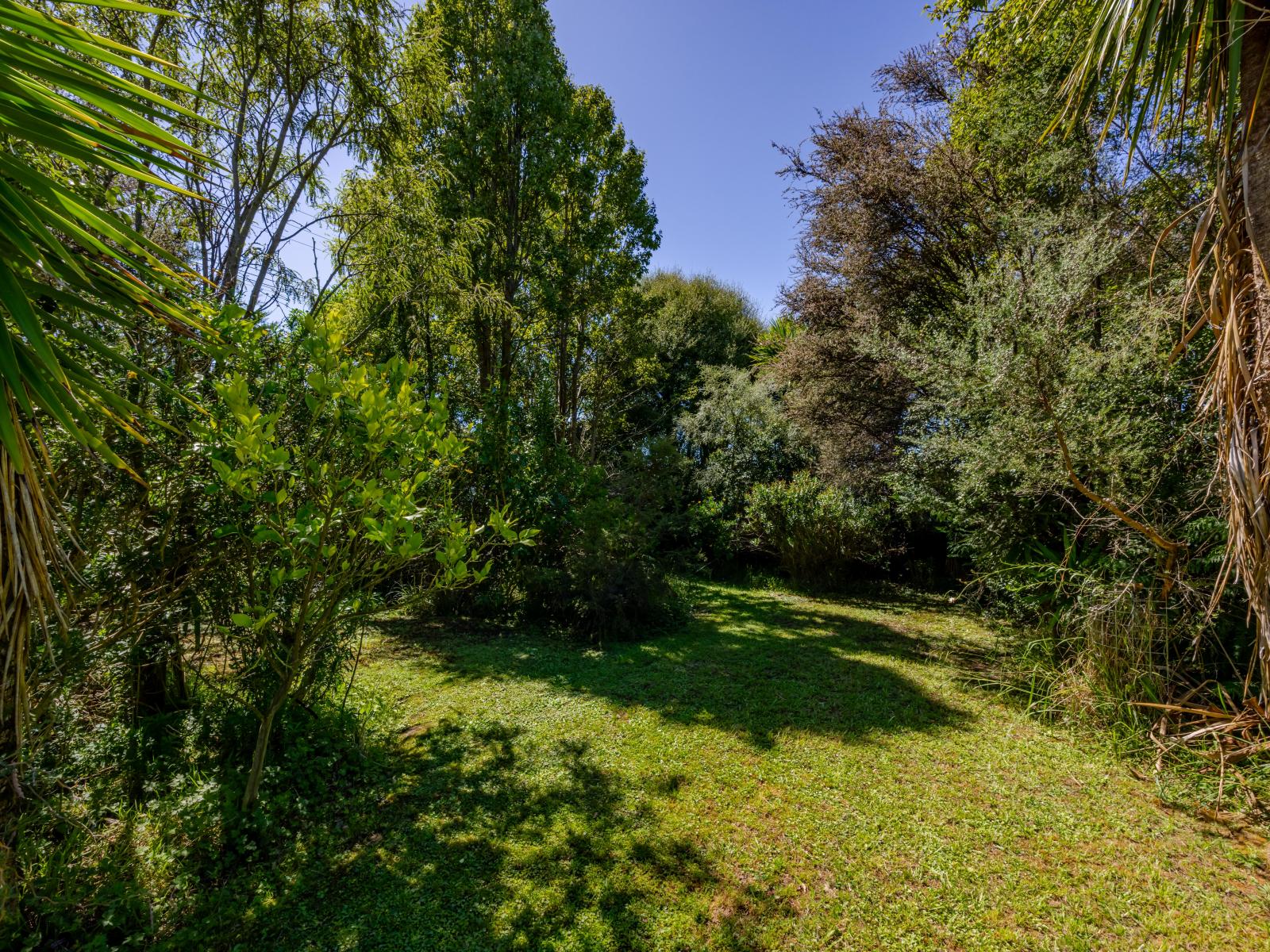 15 Bibby Street, Waipawa