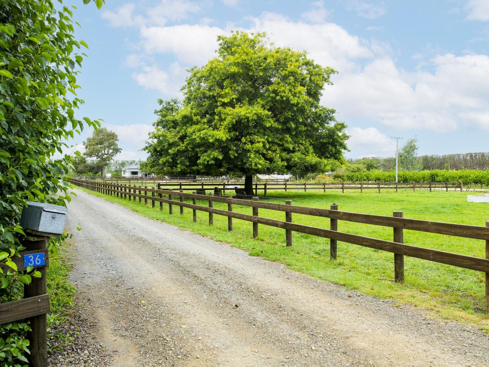 36 Bell Road, Matawhero