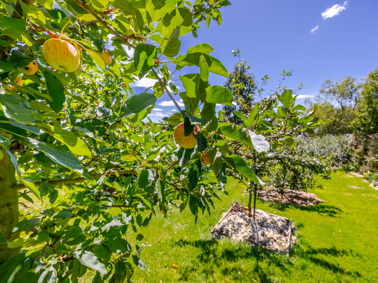 112A Mt Herbert Road, Waipukurau