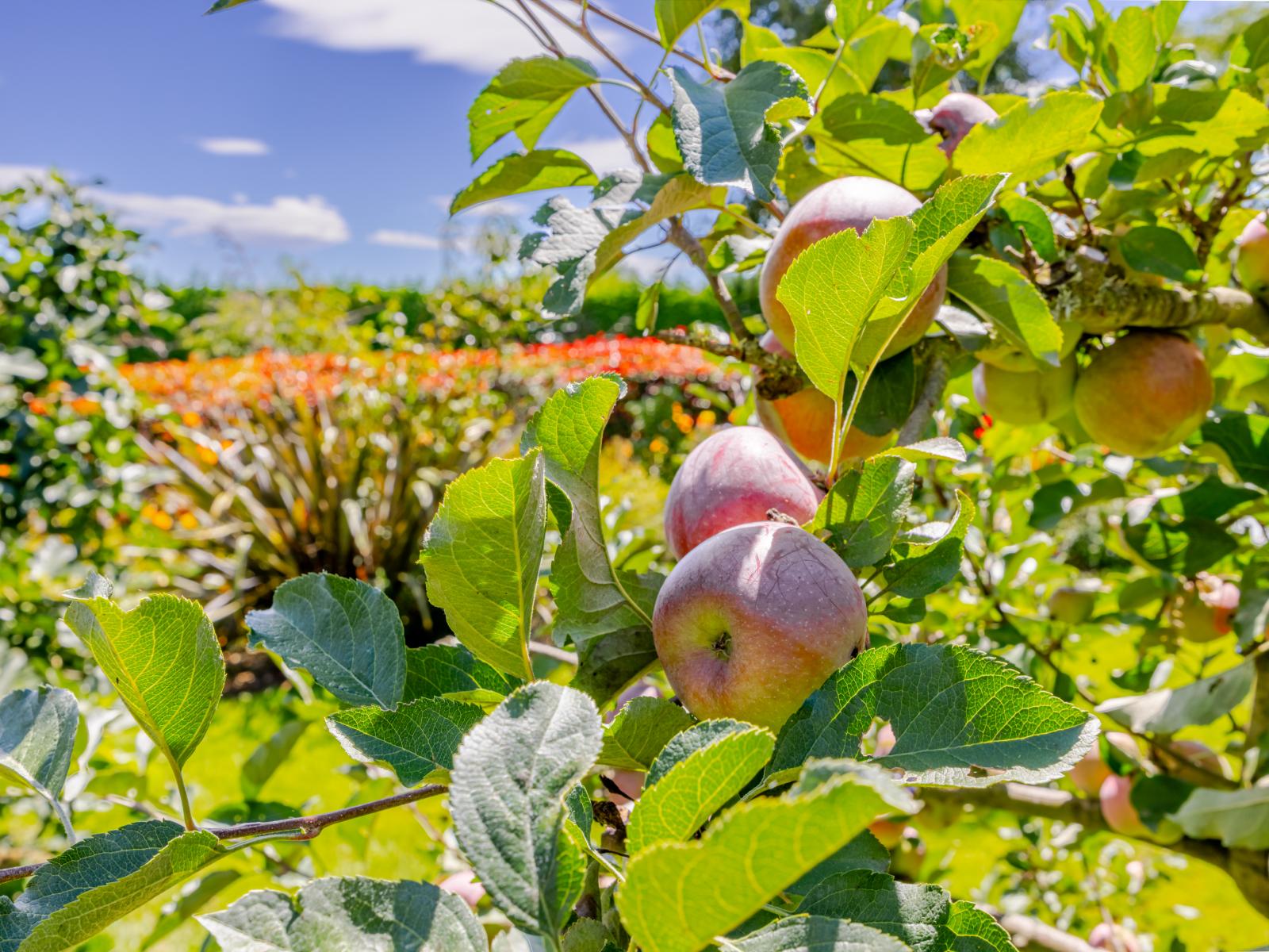 112A Mt Herbert Road, Waipukurau