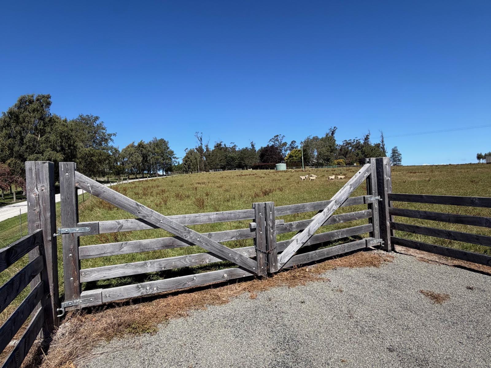 Lot 3/243 Homestead Road, Weston