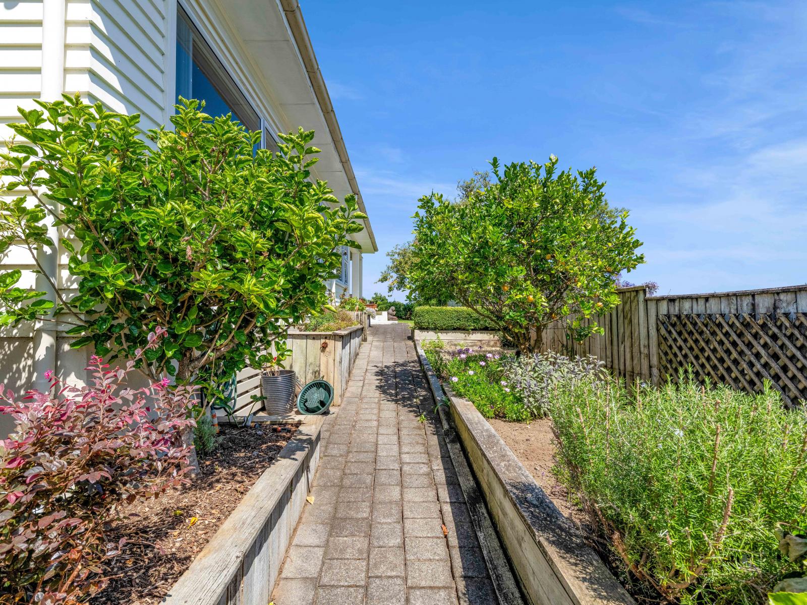 57 Huatoki Street, Vogeltown