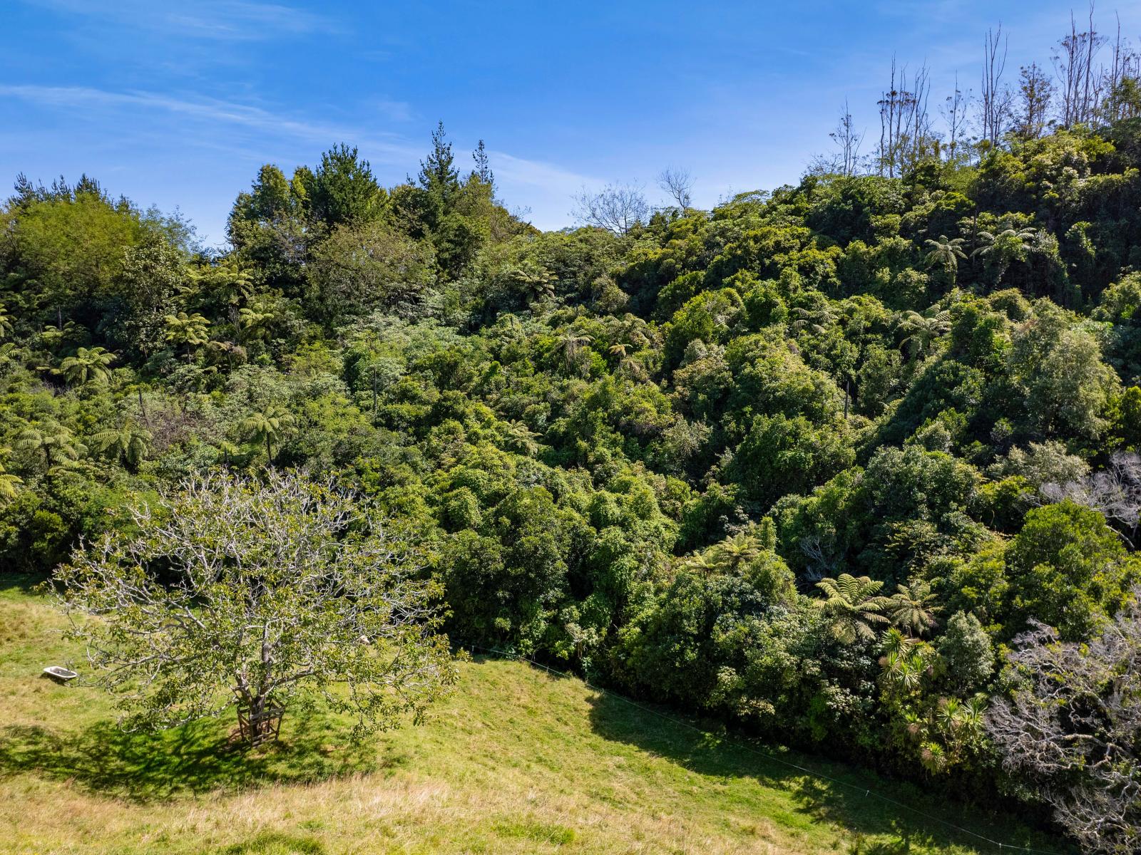 29 Whakapaki Street, Urenui