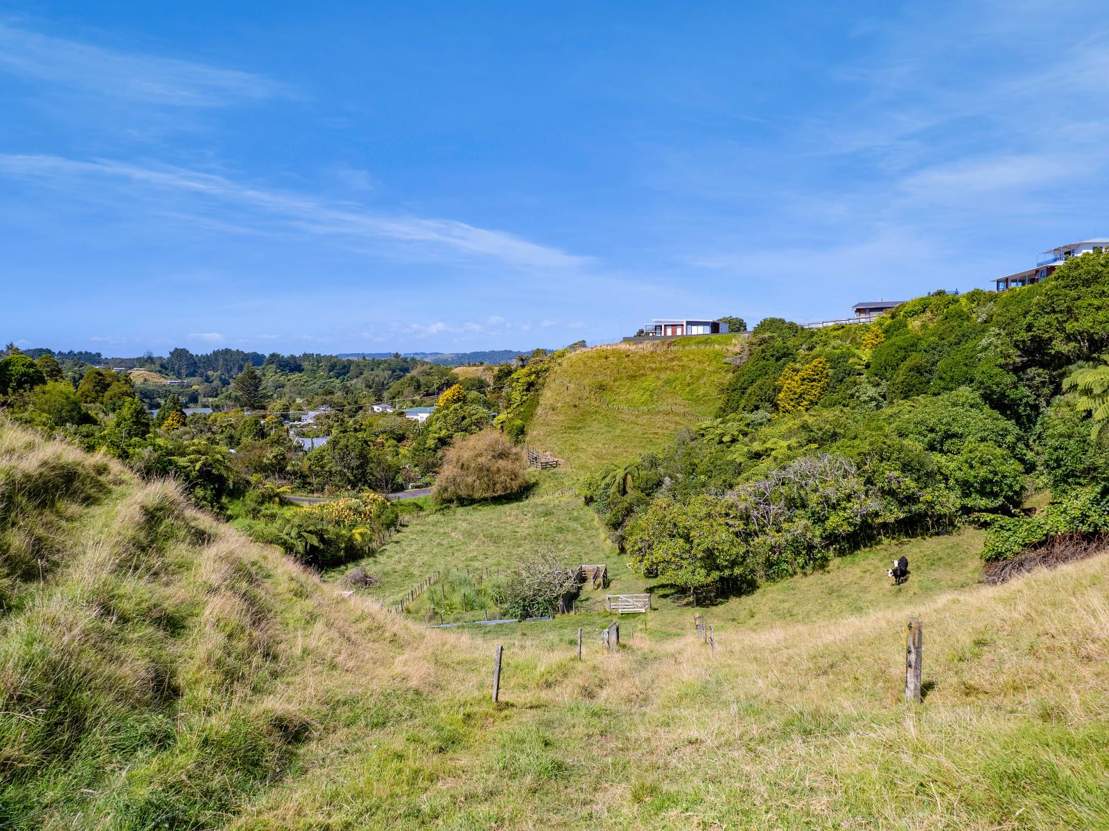 29 Whakapaki Street, Urenui