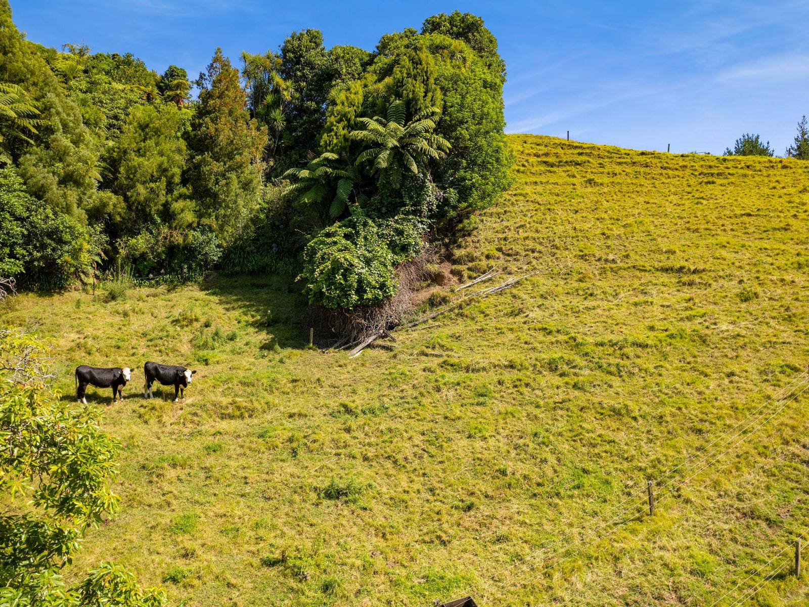 29 Whakapaki Street, Urenui