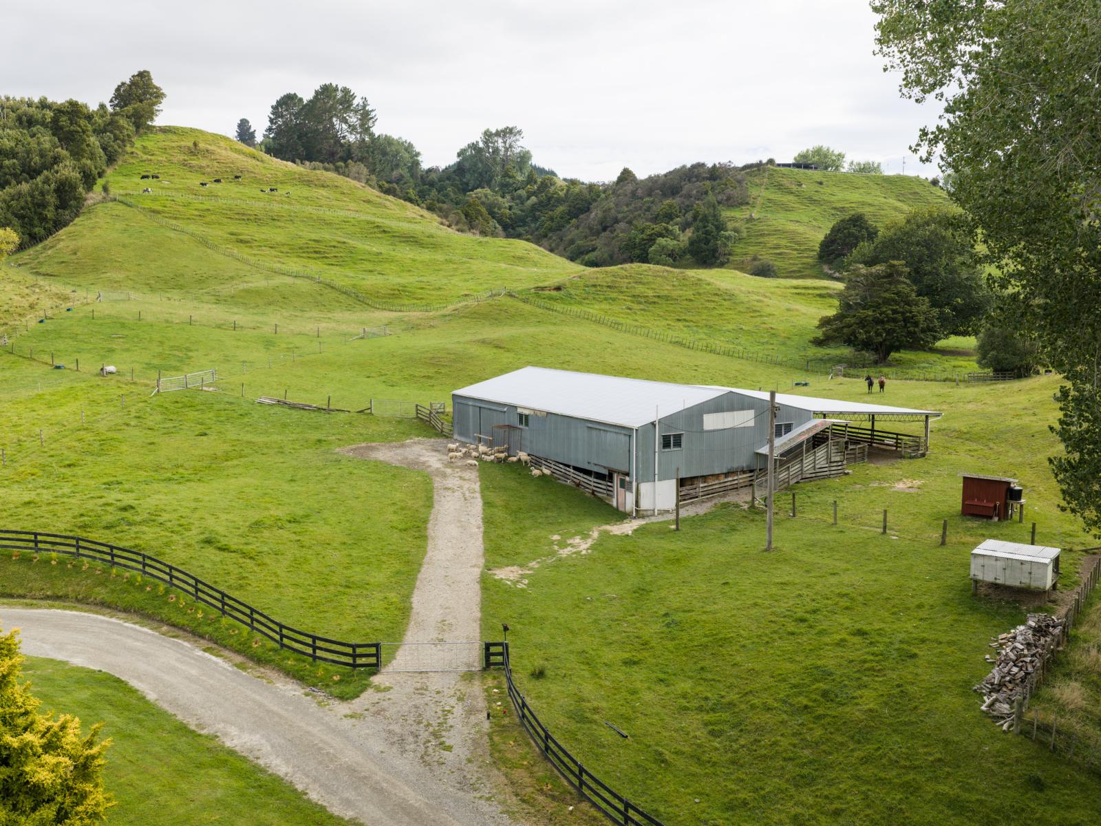 29 Kuku Road, Pohangina