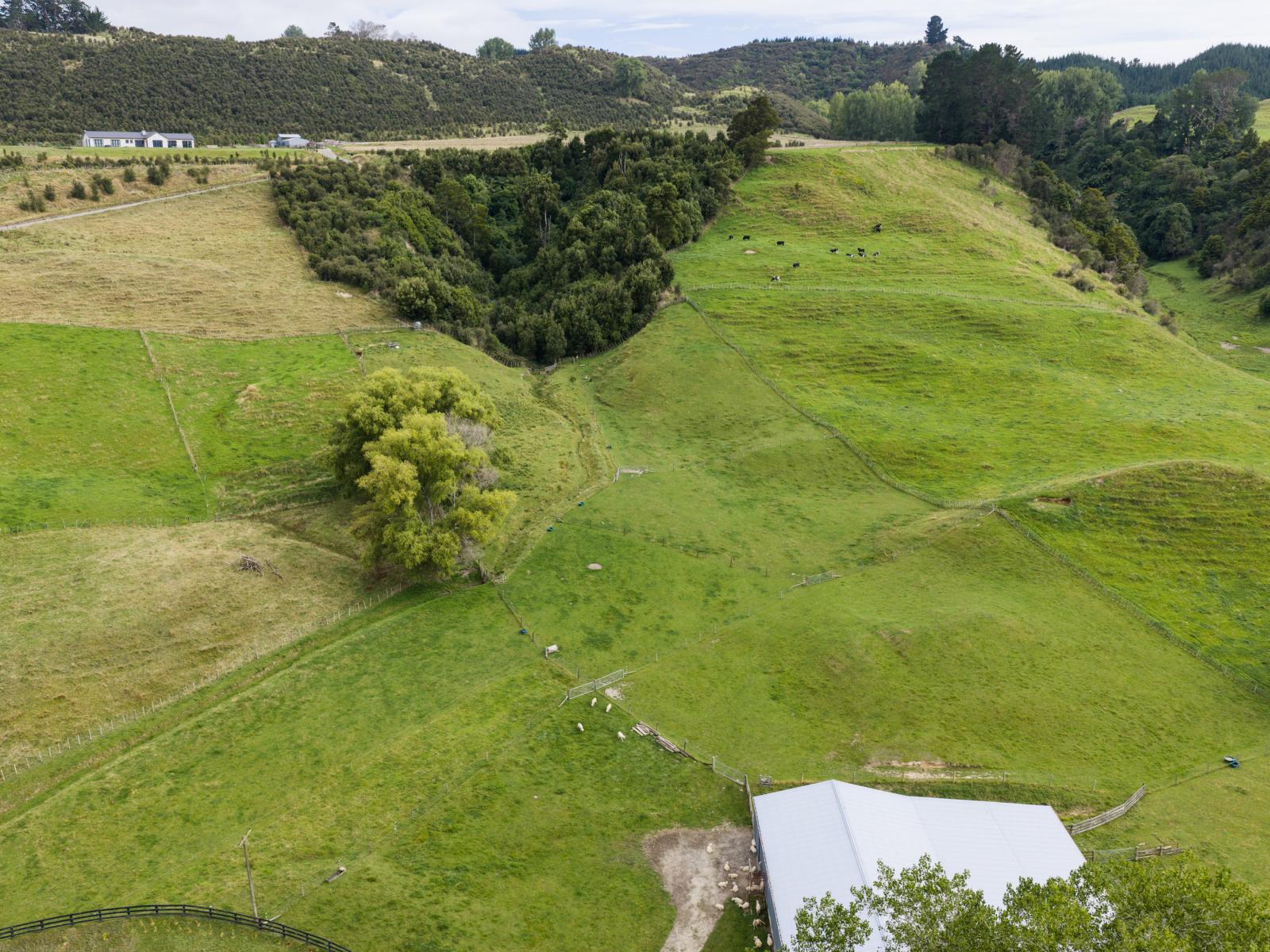 29 Kuku Road, Pohangina