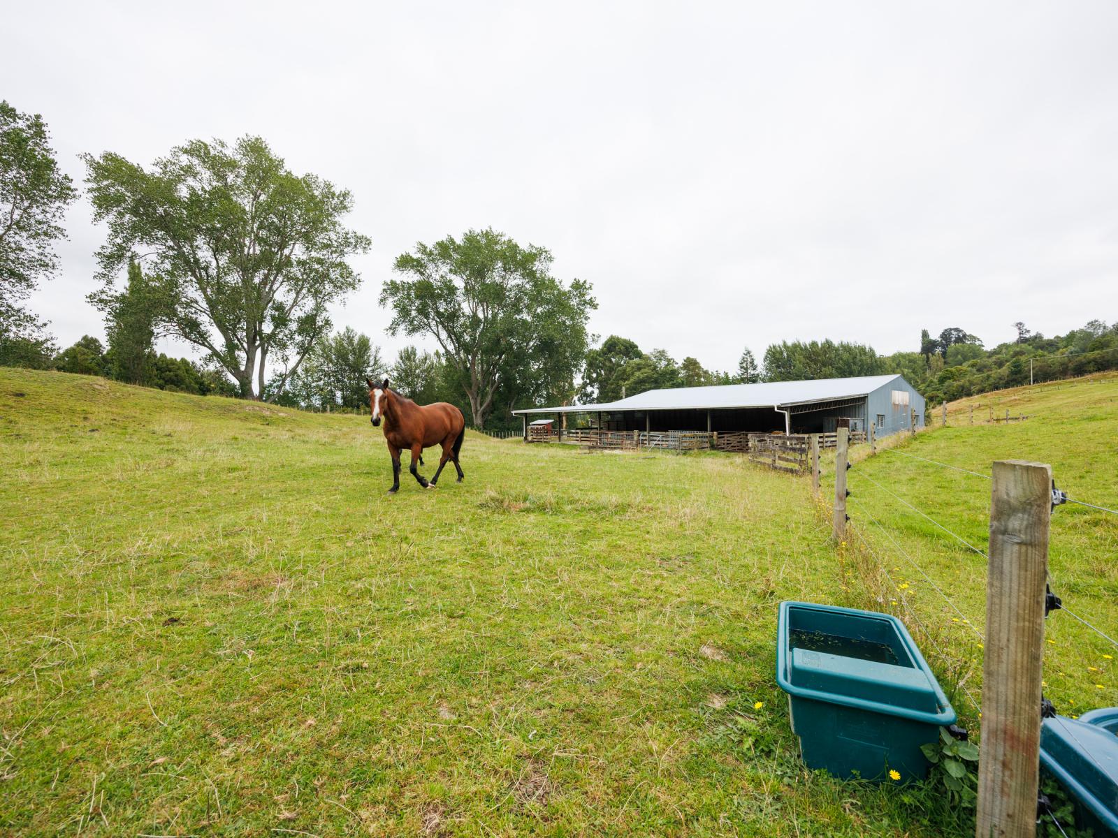29 Kuku Road, Pohangina