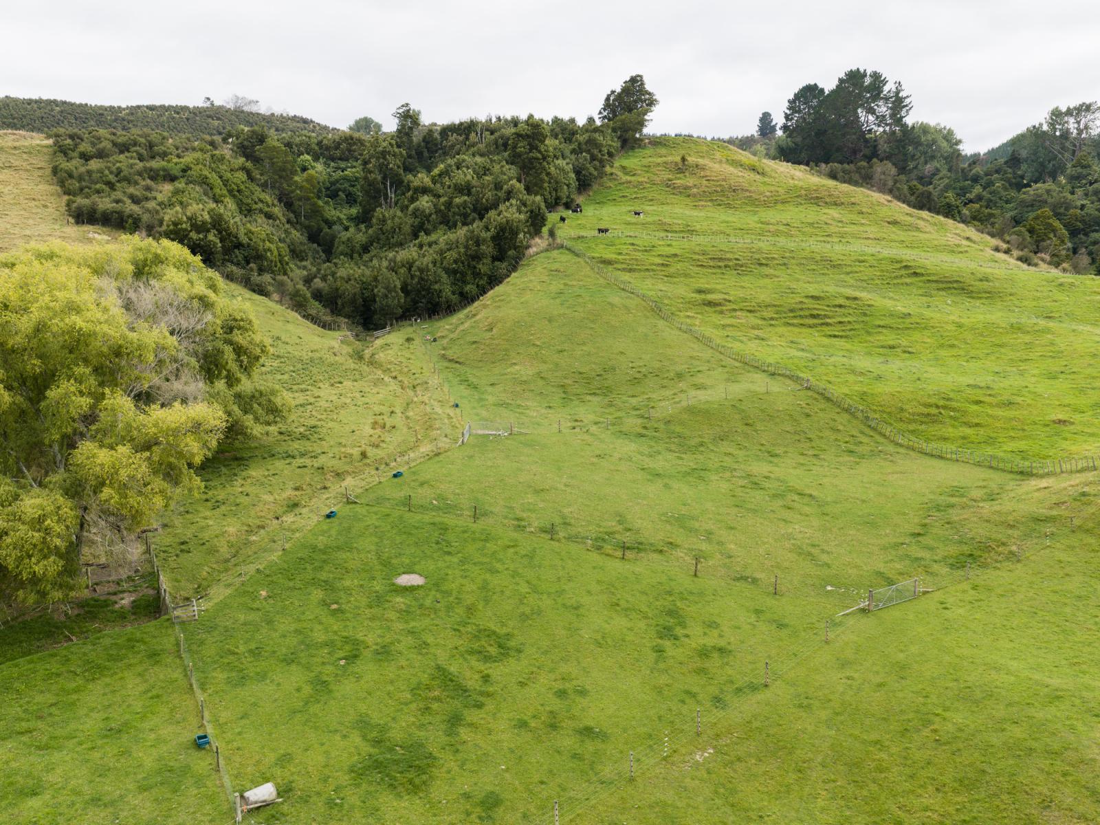 29 Kuku Road, Pohangina