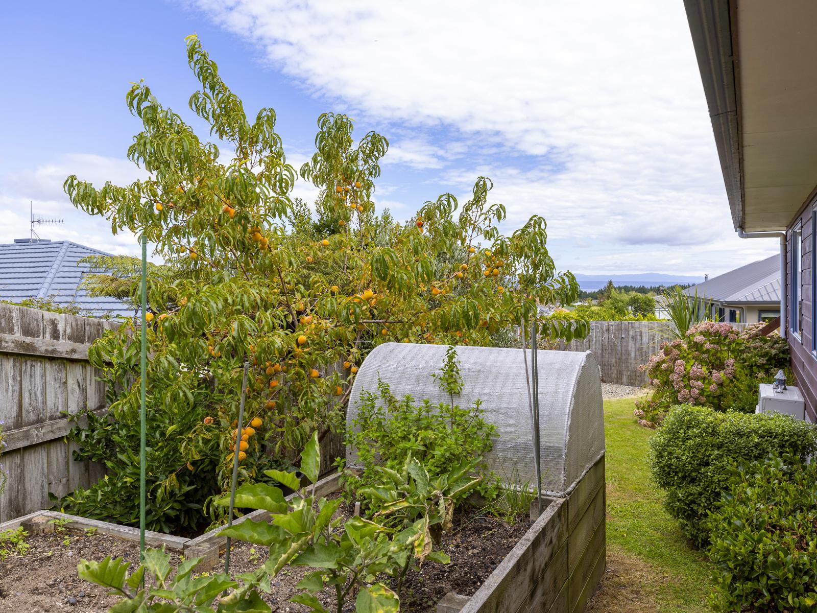 22 The Grove, Nukuhau