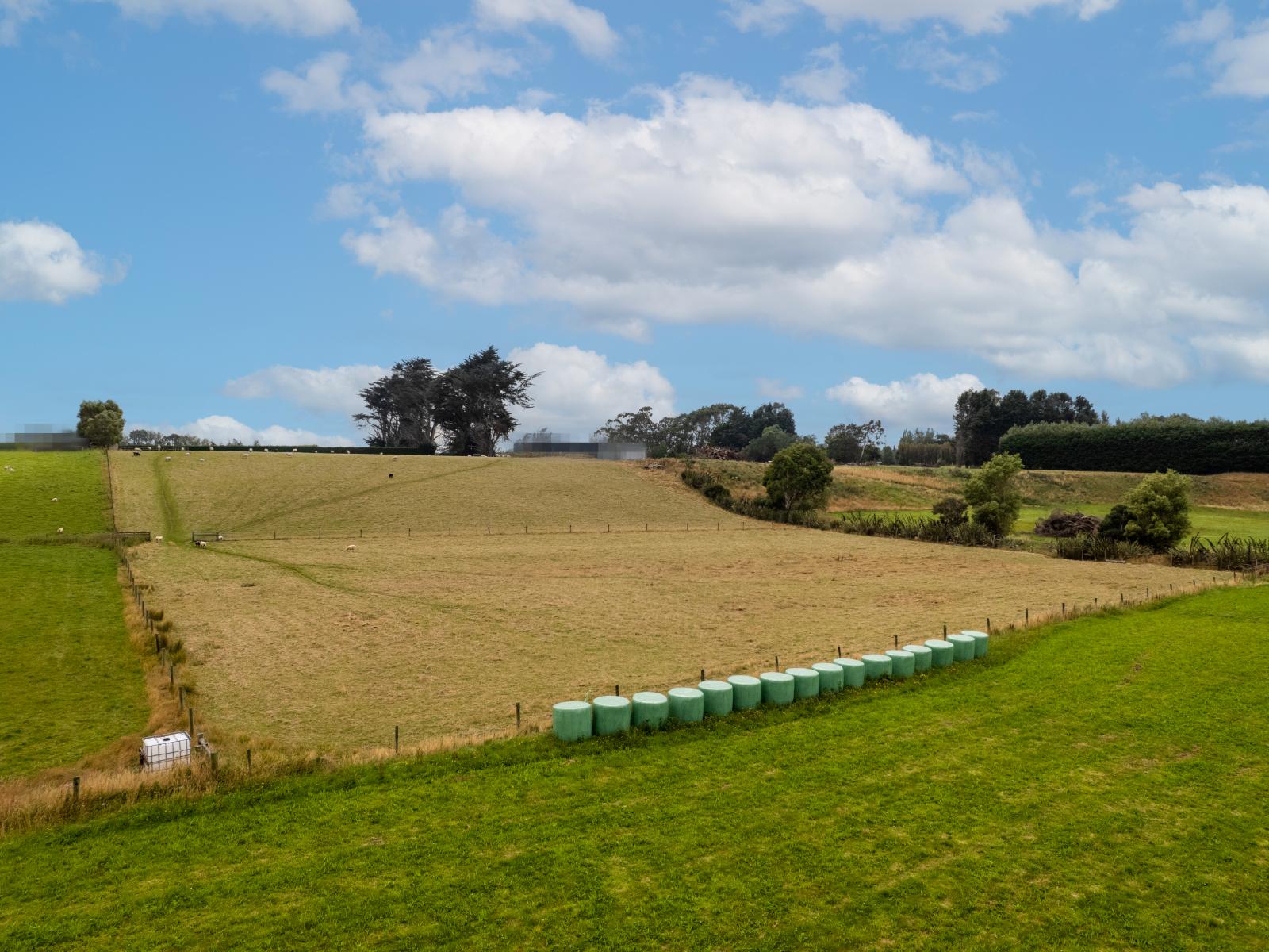 435E Bainfield Road, Waihopai