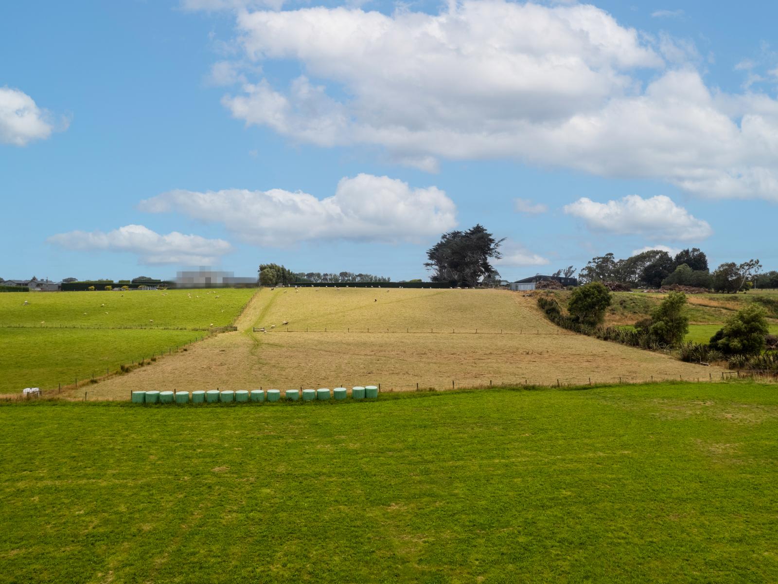 435E Bainfield Road, Waihopai