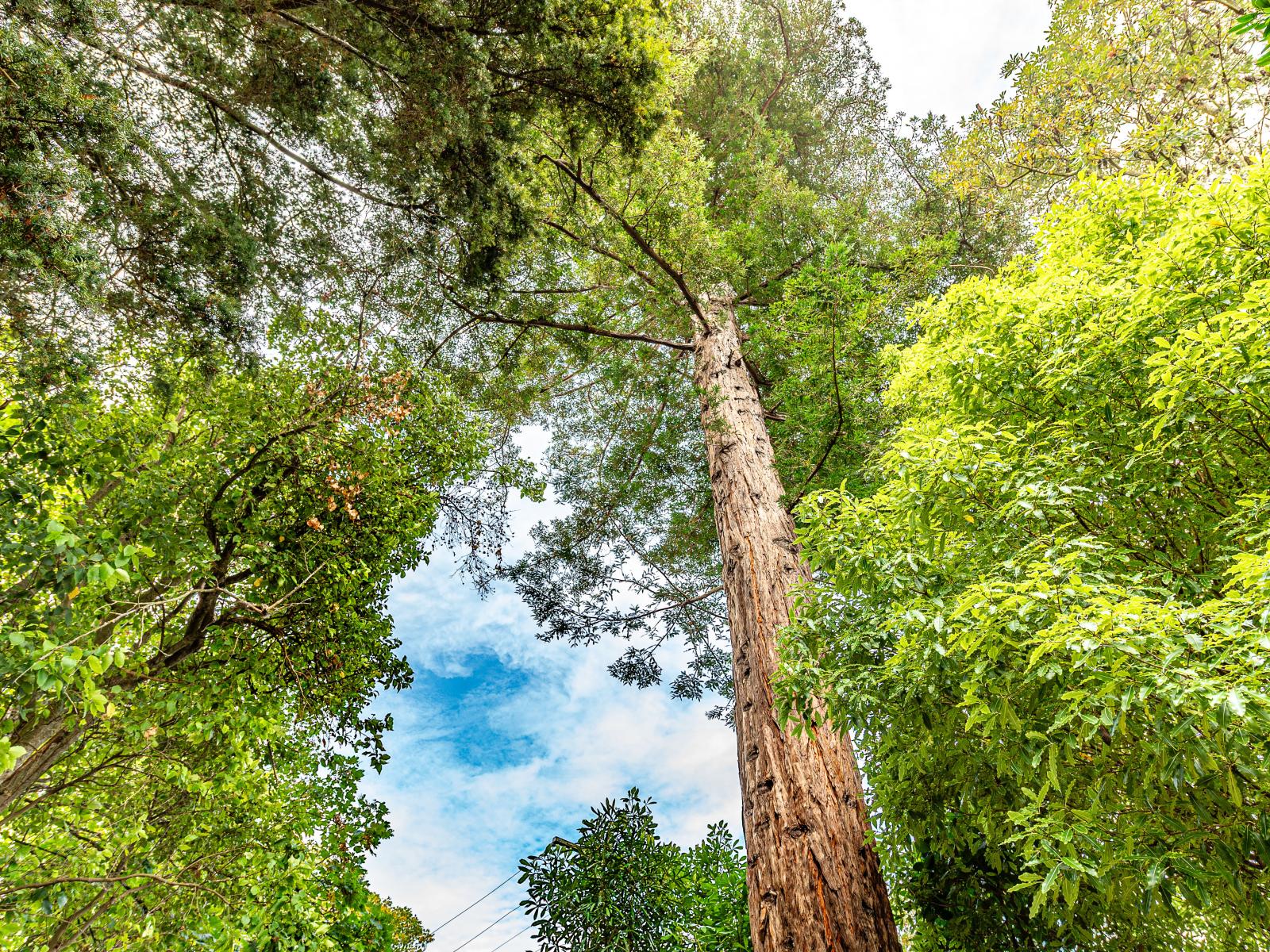 5 Nile Street, Whanganui East