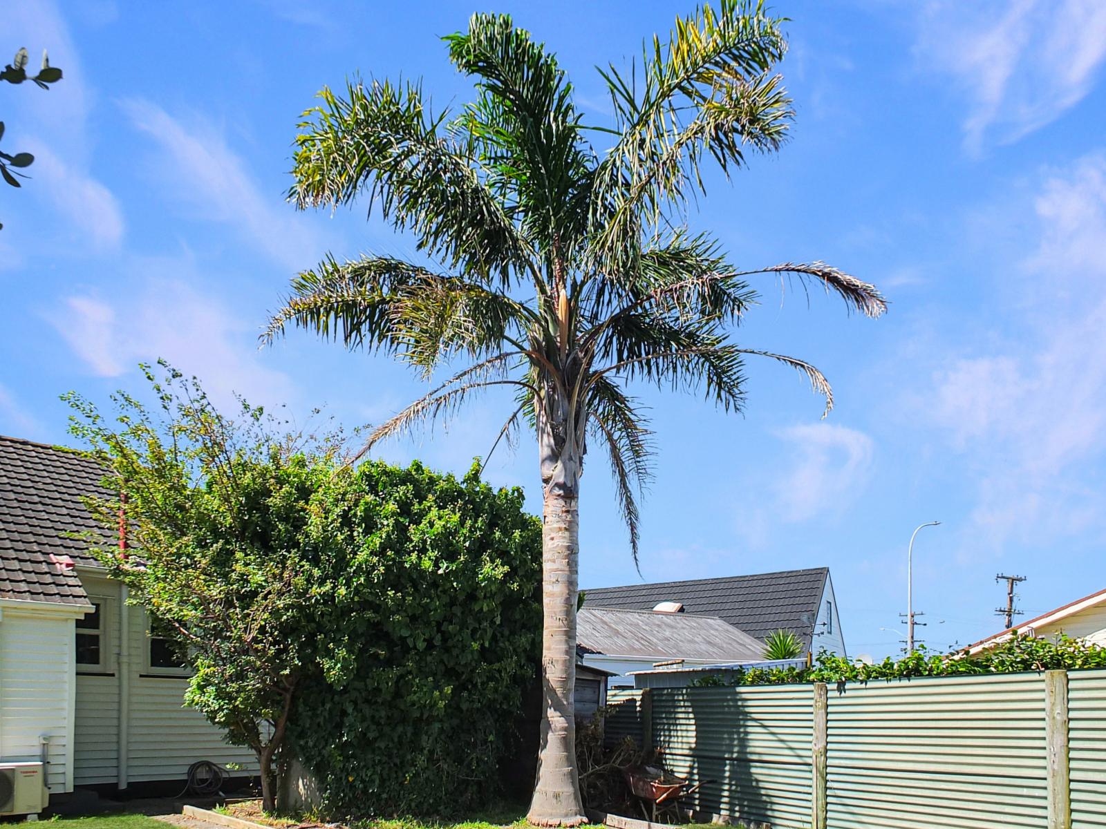 8 Johnston Street, Foxton