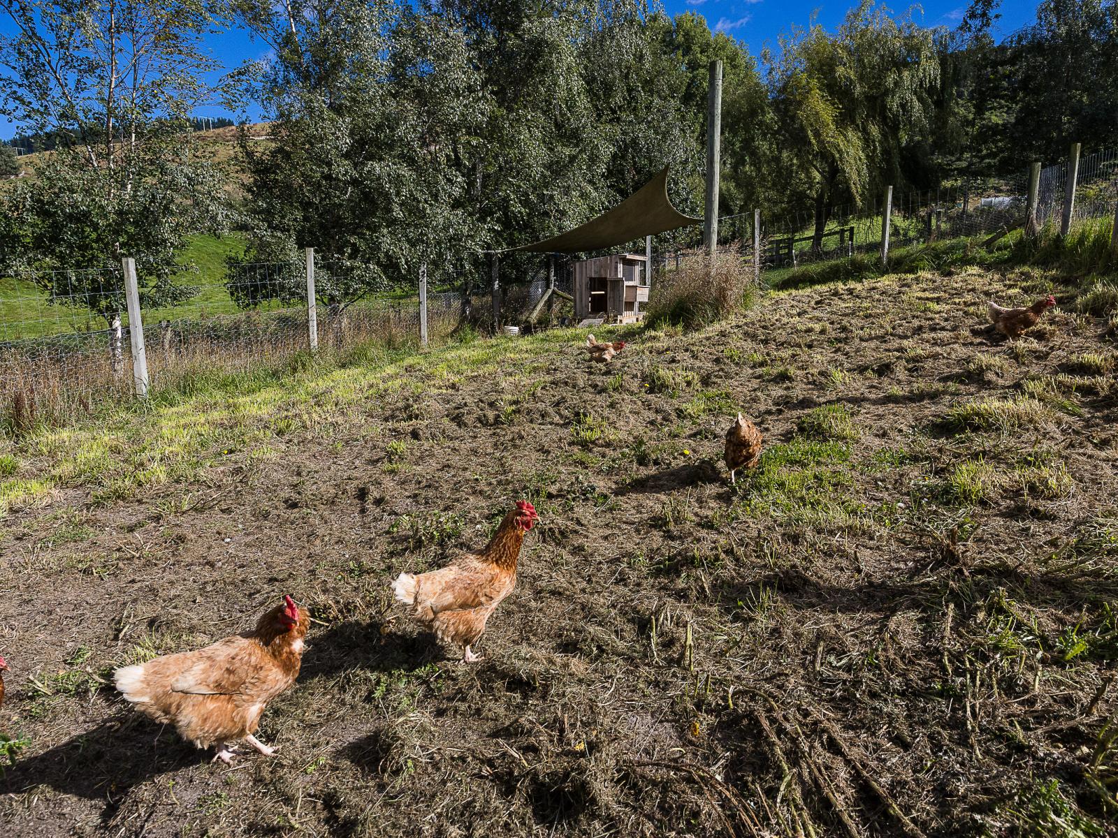 452 Outram-Mosgiel Road, North Taieri, Mosgiel