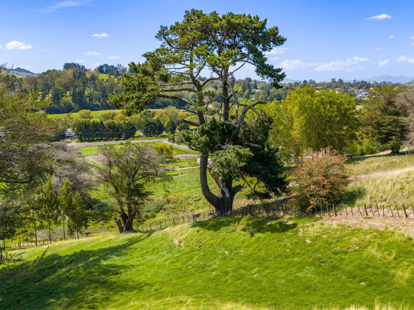 Lot 4, 127 Ongaonga Road, Waipawa