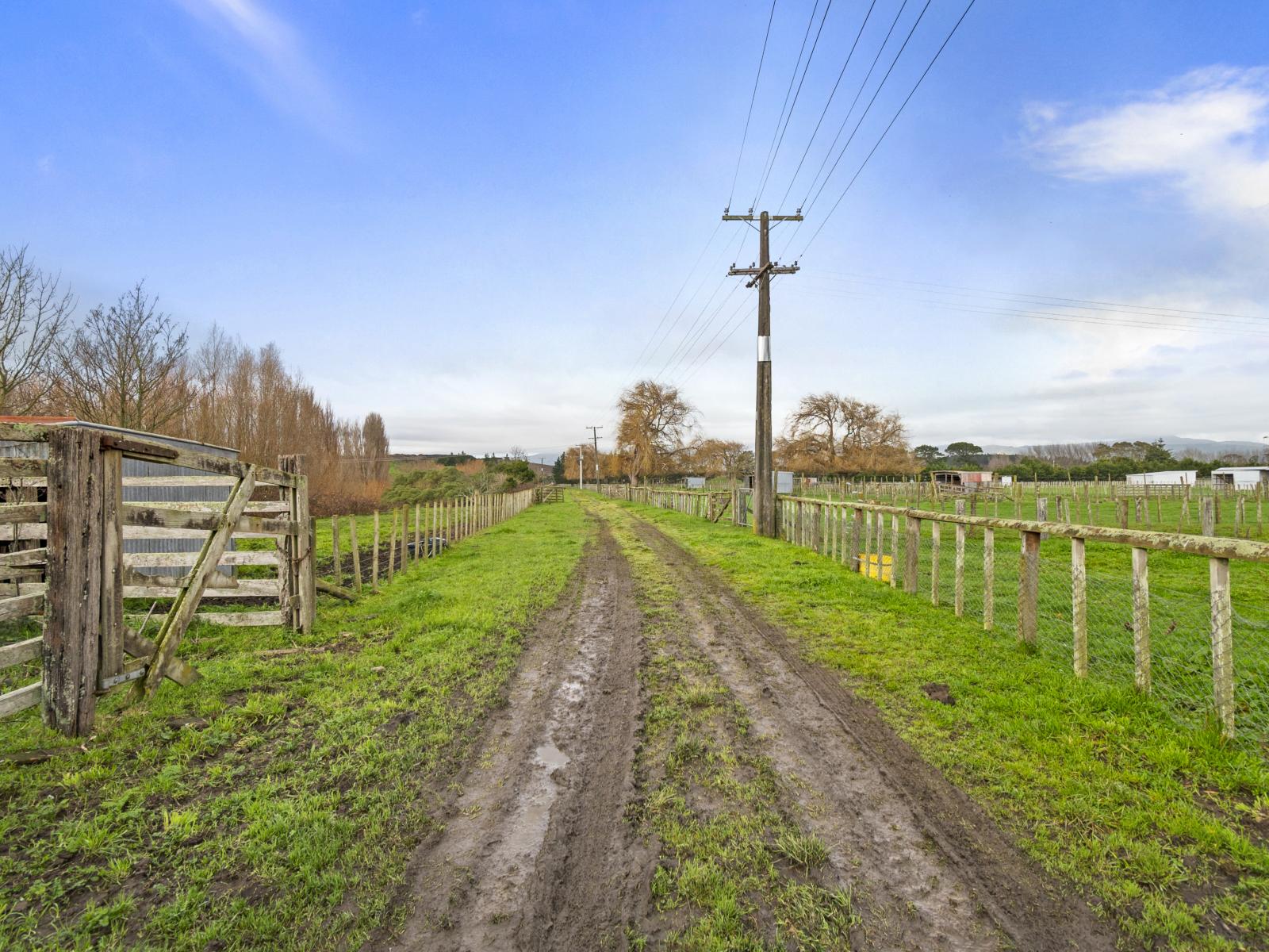 201 Shirriffs Road, Awapuni