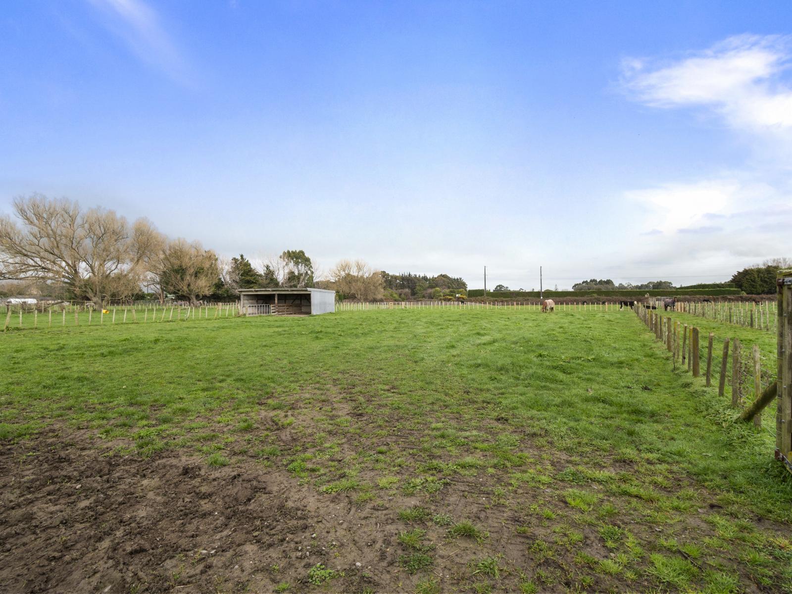 201 Shirriffs Road, Awapuni