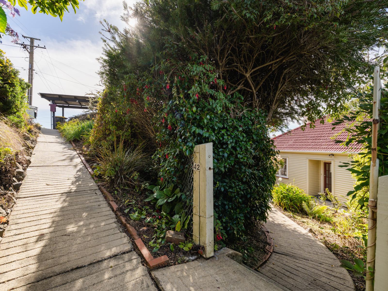 42 Prospect Bank, Wakari