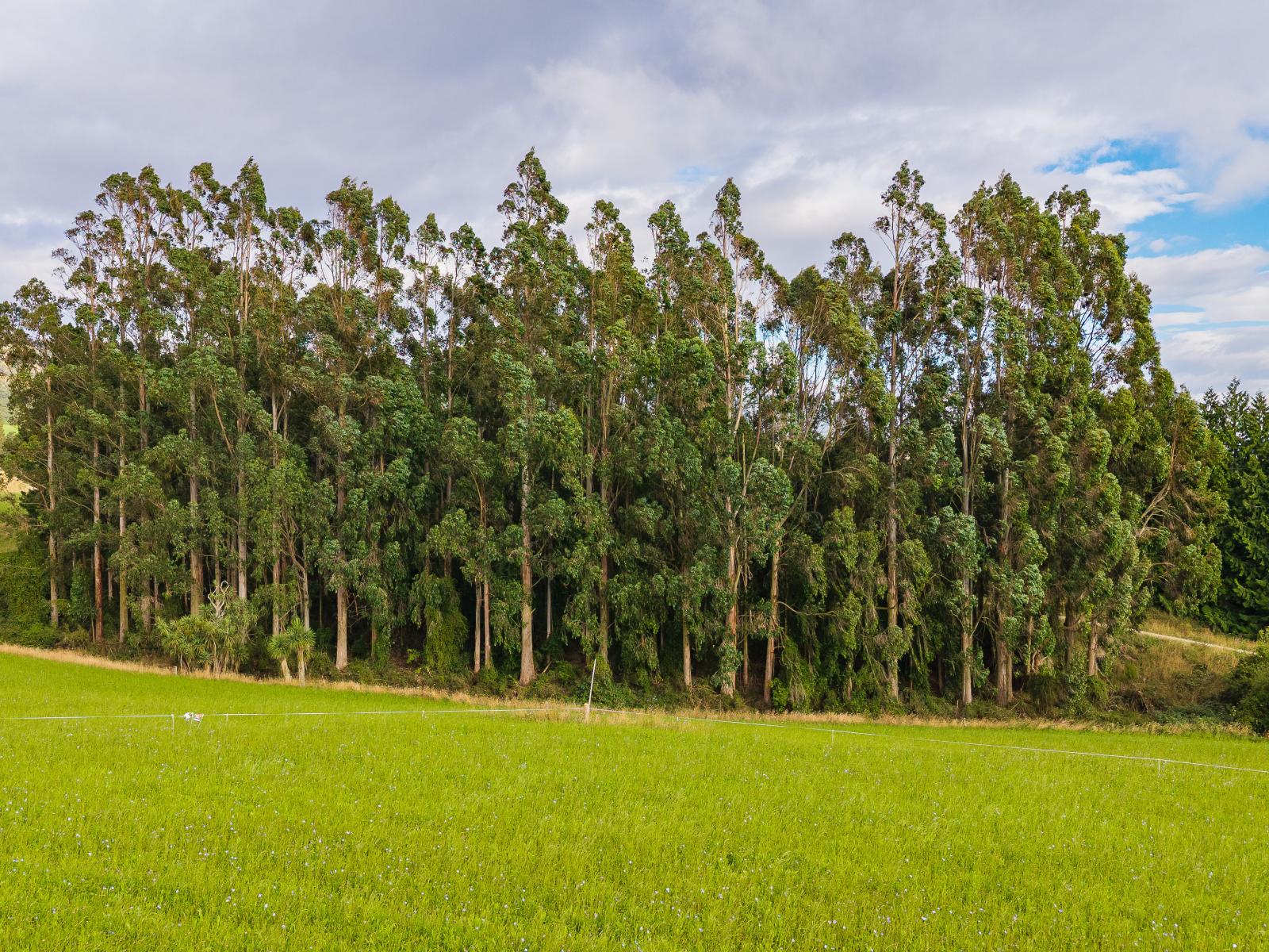 Lot 2 Brownleas Road, Waimate