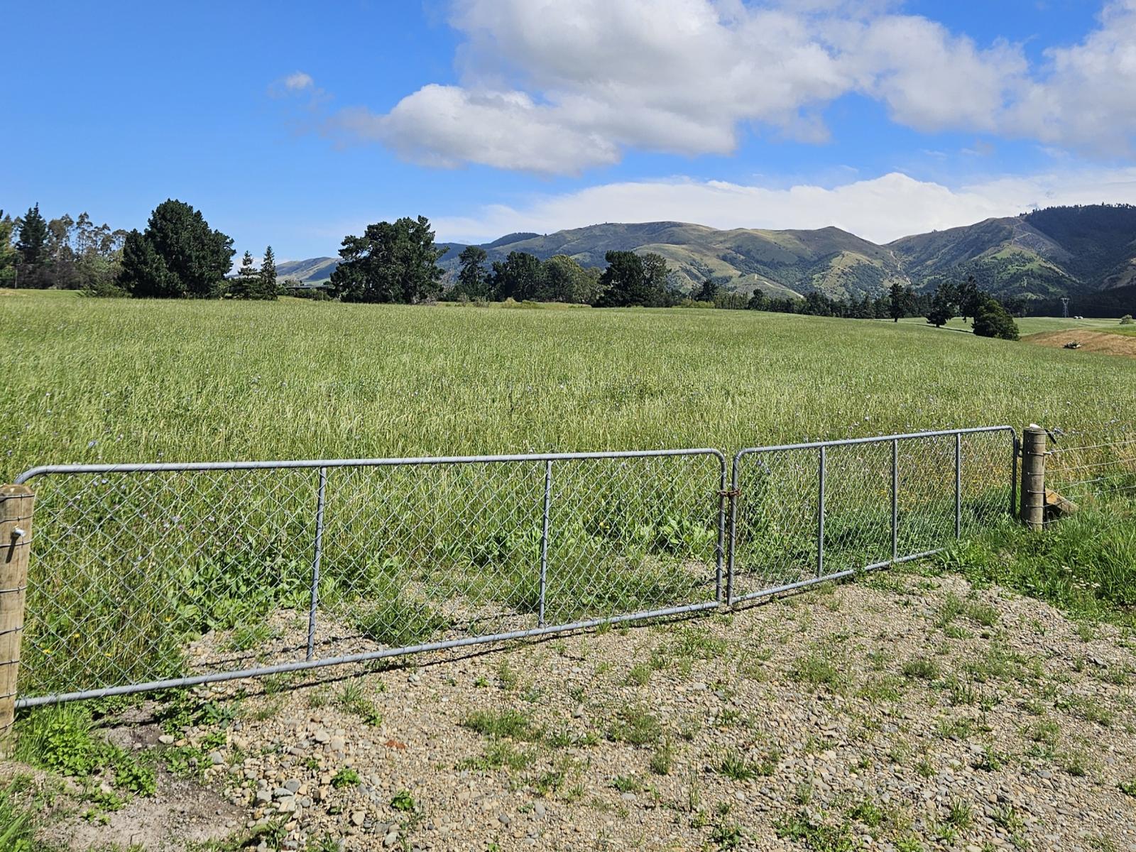 Lot 1 Brownleas Road, Waimate